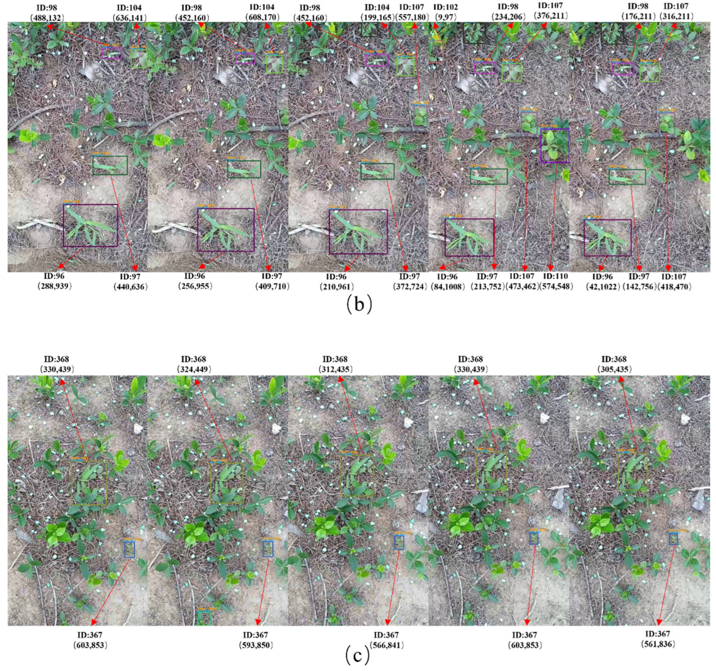 Agronomy 14 02363 g015b