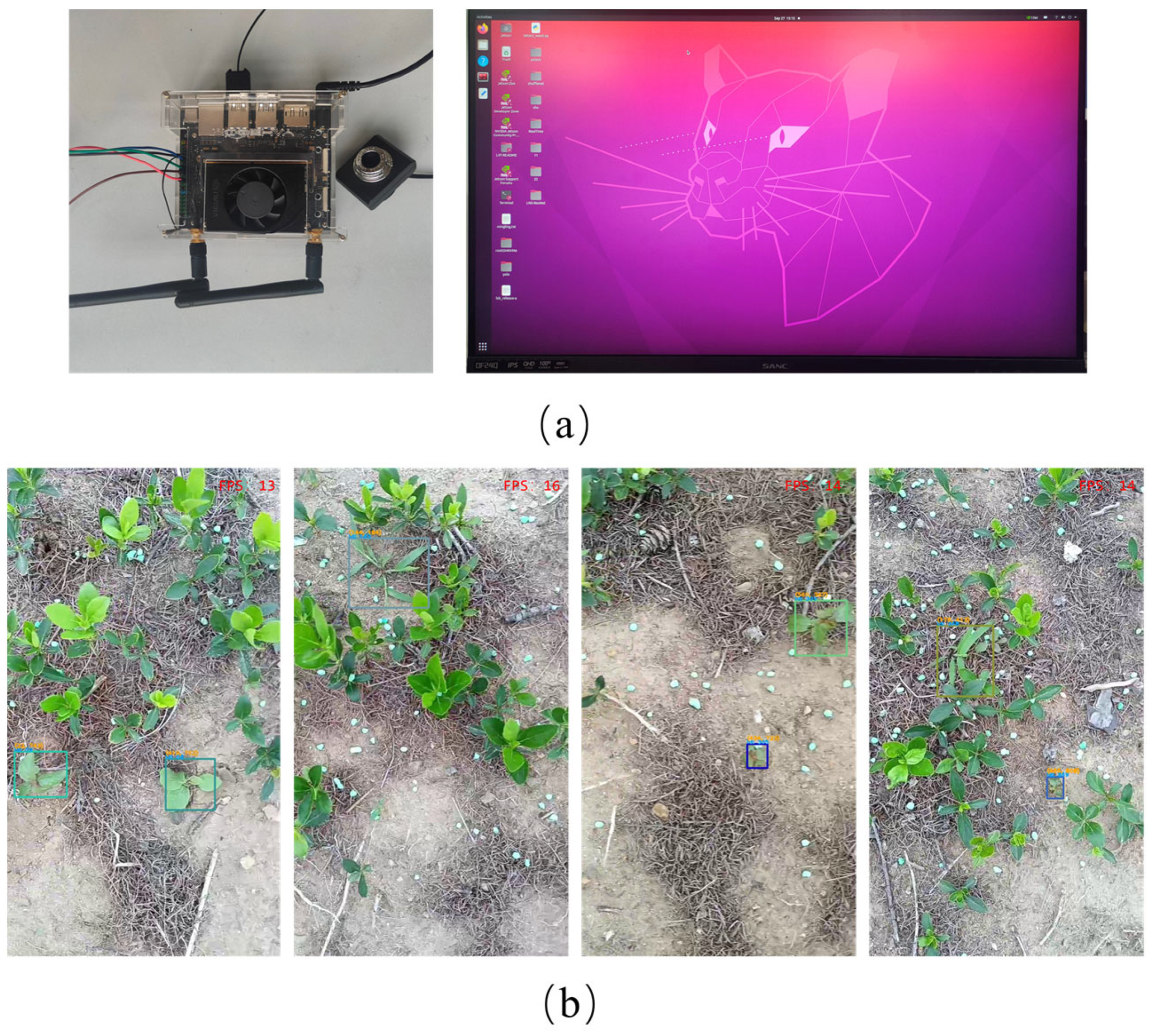 Agronomy 14 02363 g016