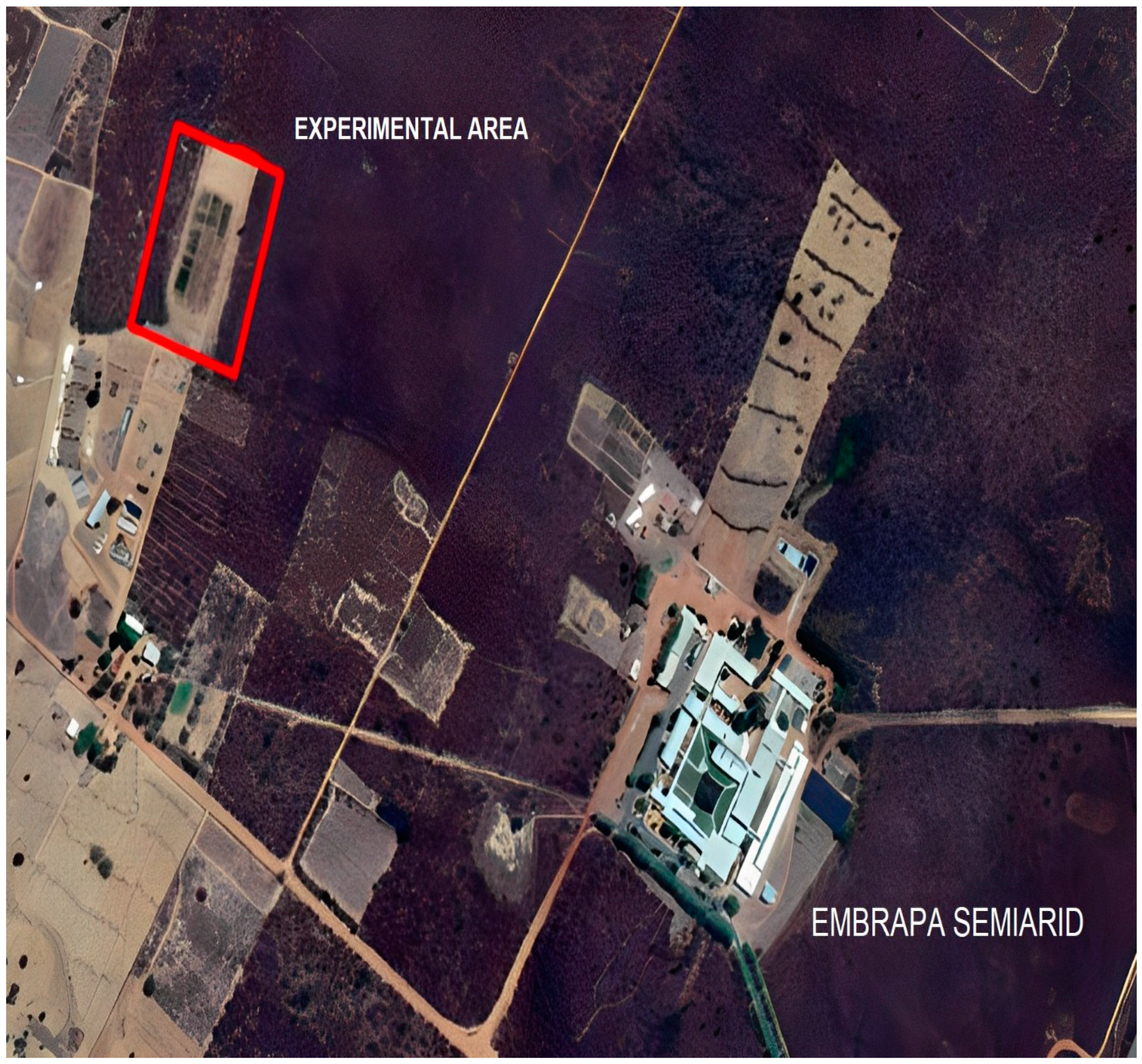 Agronomy 14 02366 g001 Agronomy 14 02366 g001