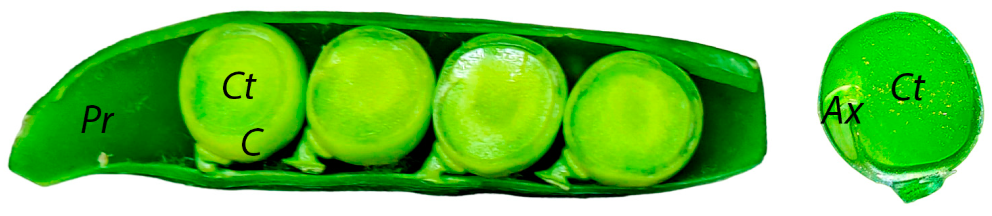 Agronomy 14 02367 g001