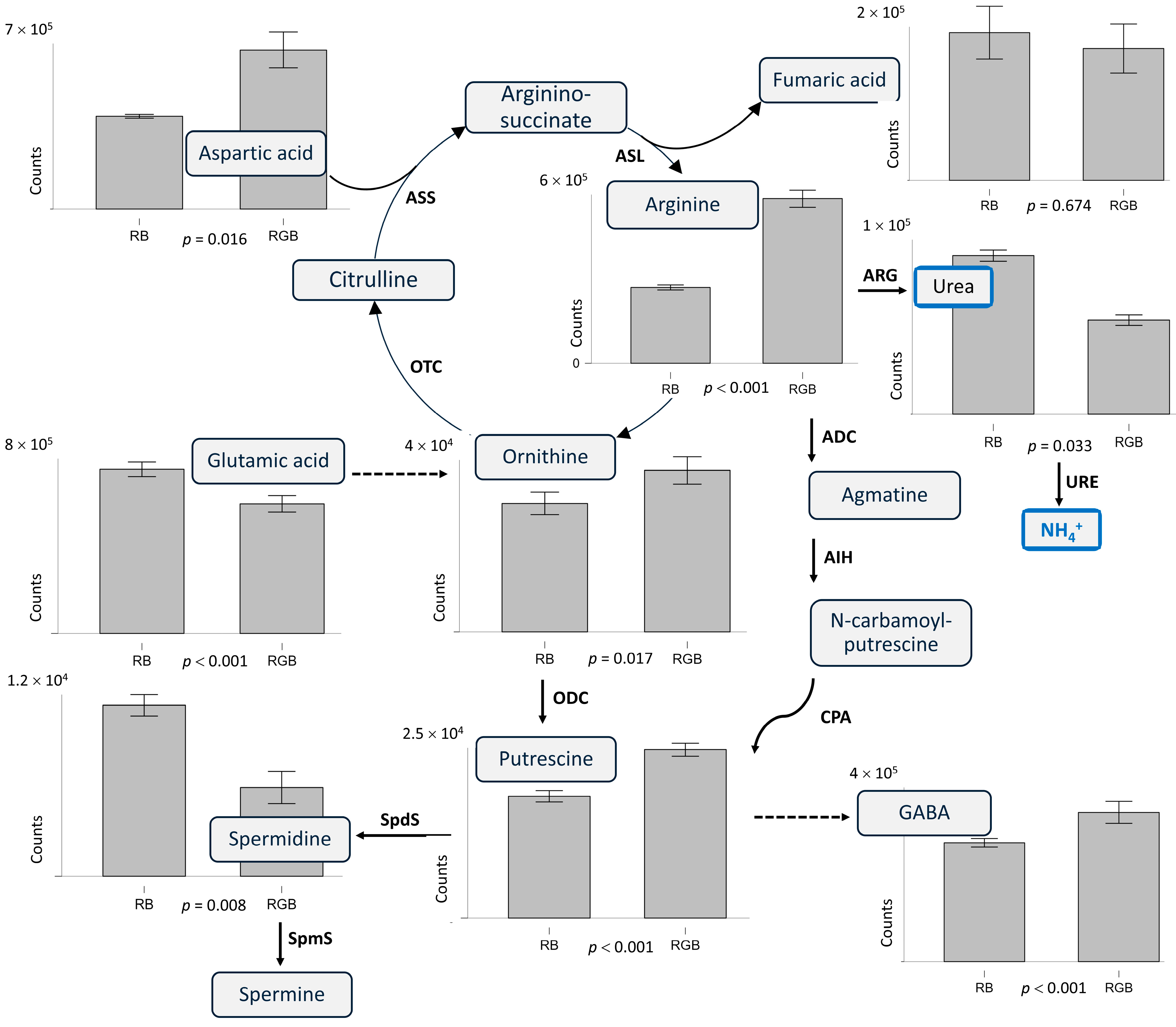 Agronomy 14 02367 g004