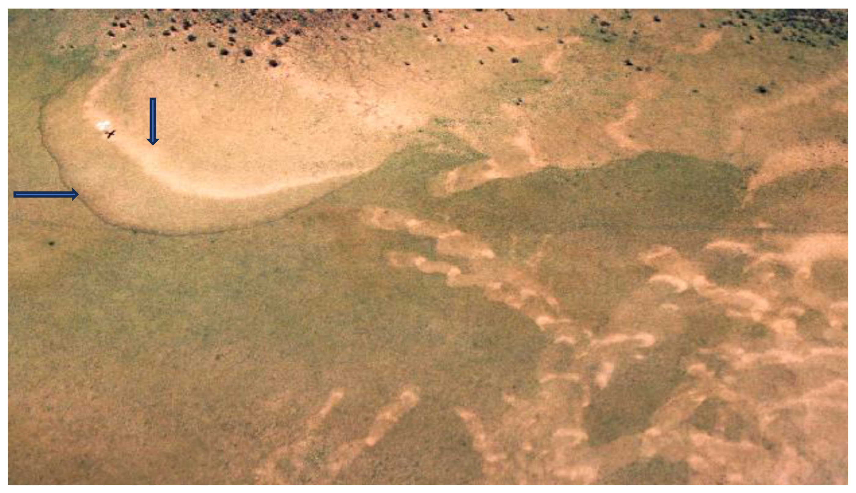 Agronomy 14 02369 g003 Agronomy 14 02369 g003