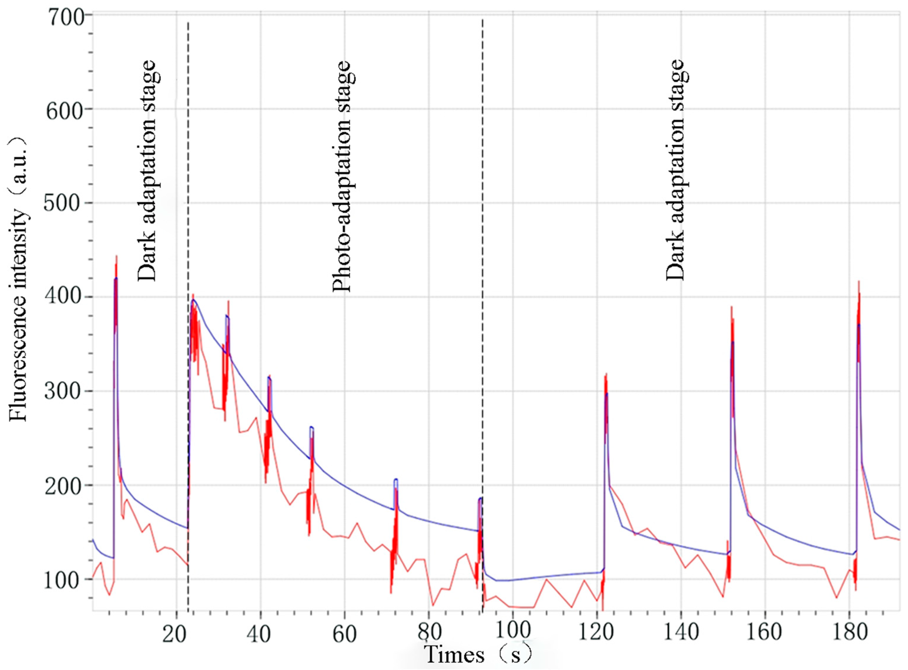Agronomy 14 02373 g004