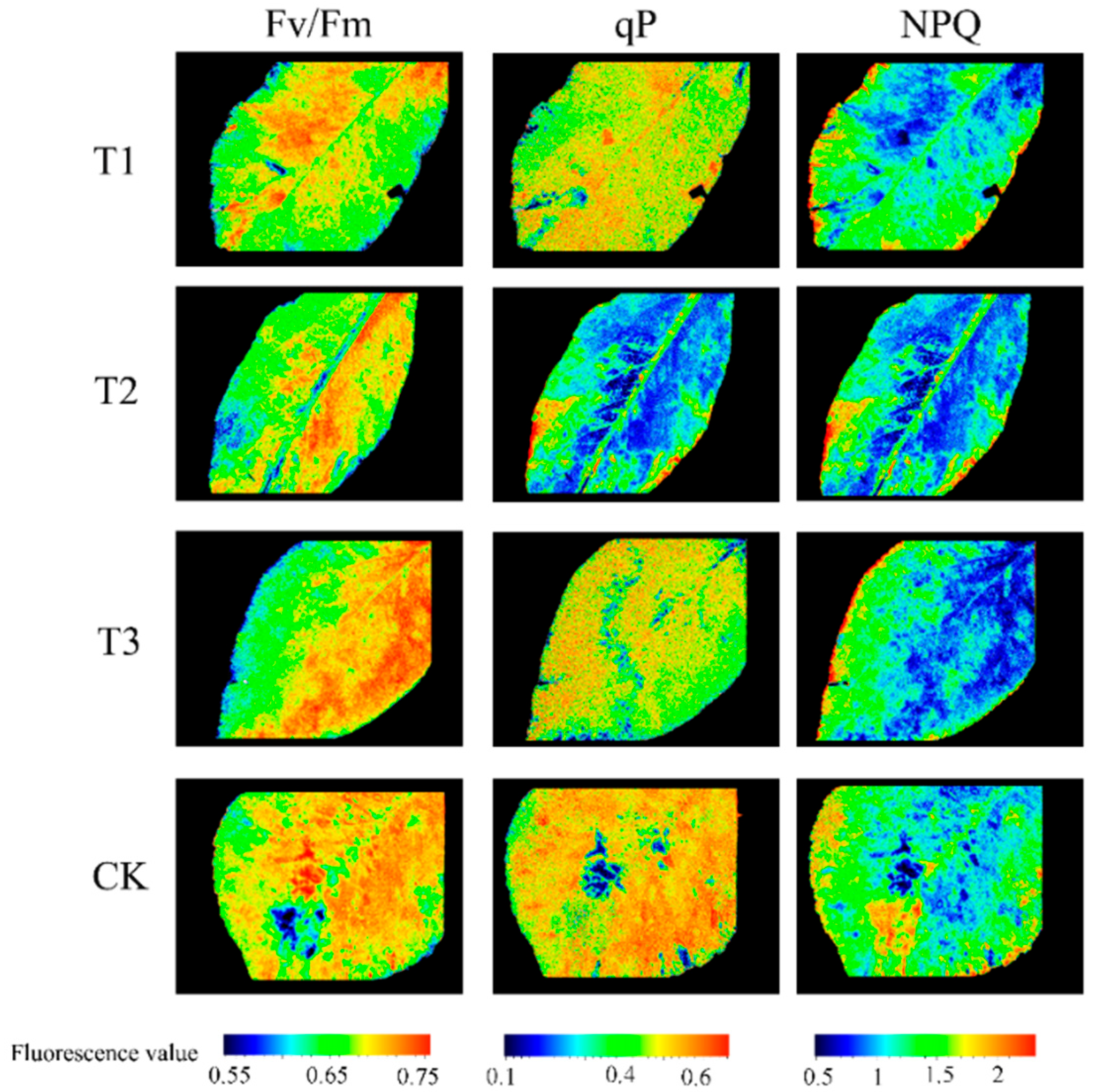 Agronomy 14 02373 g006