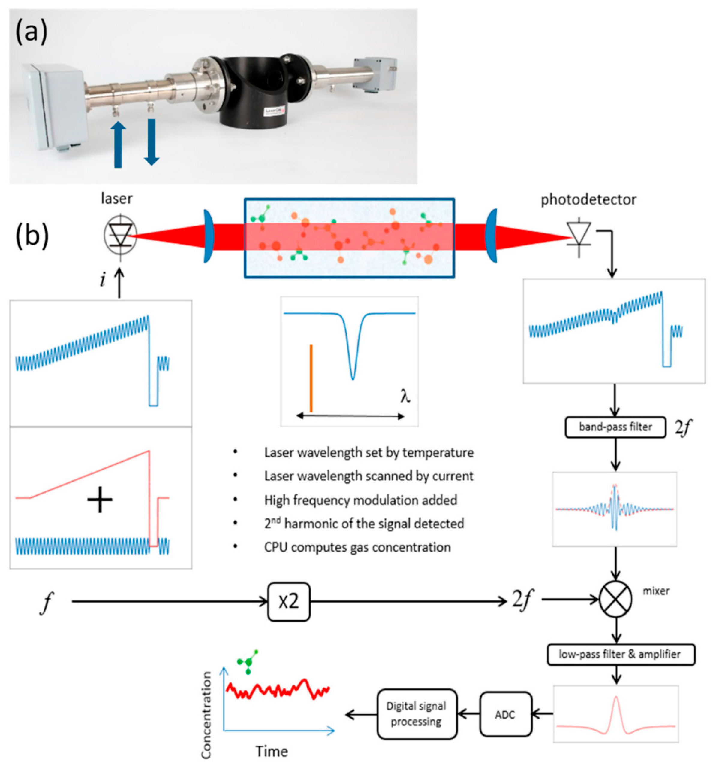 Agronomy 14 02374 g011 Agronomy 14 02374 g011