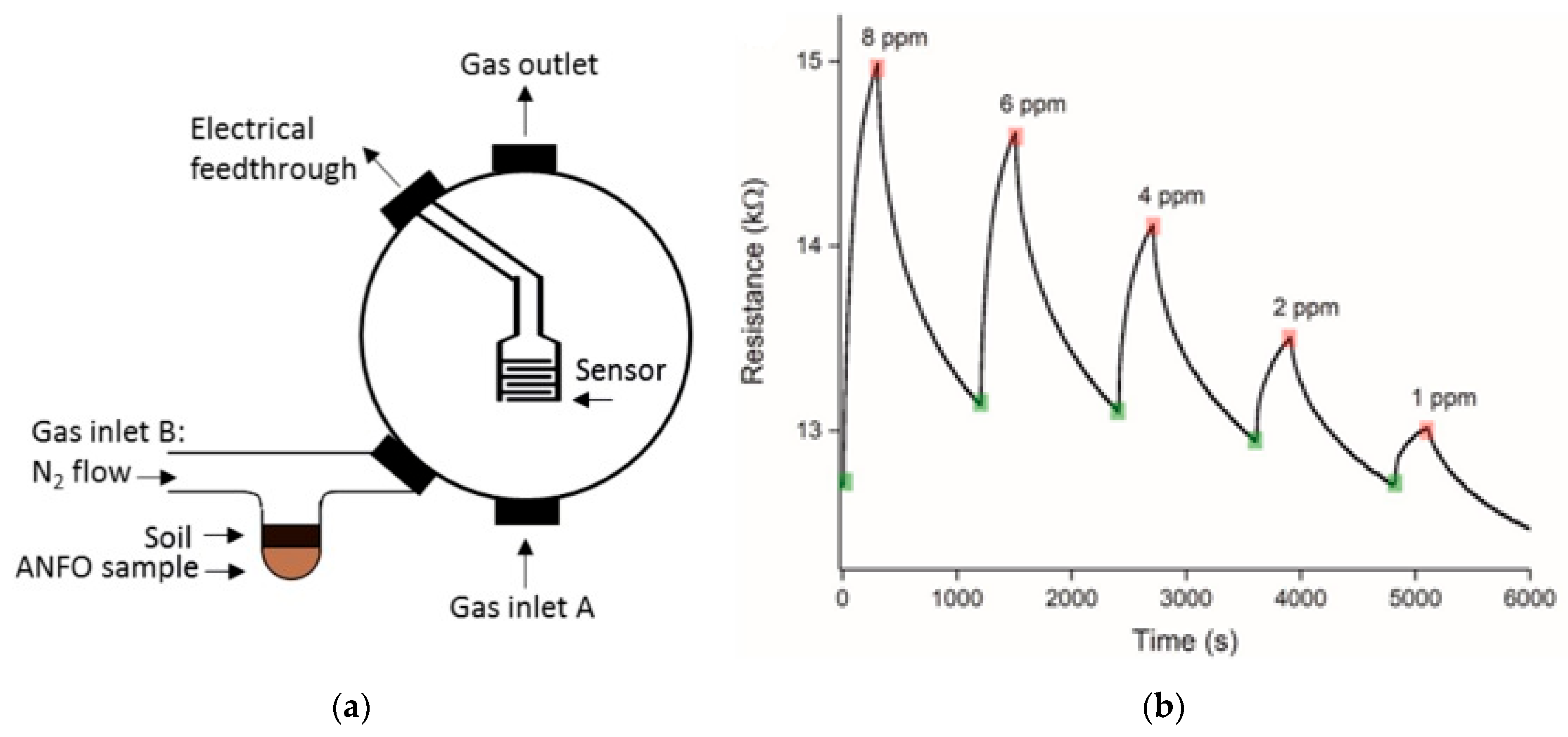 Agronomy 14 02374 g013 Agronomy 14 02374 g013