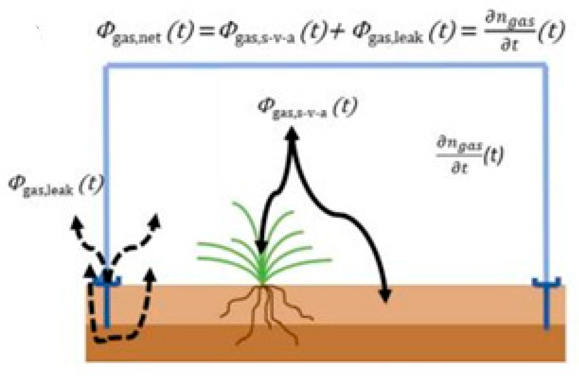 Agronomy 14 02374 g015 Agronomy 14 02374 g015