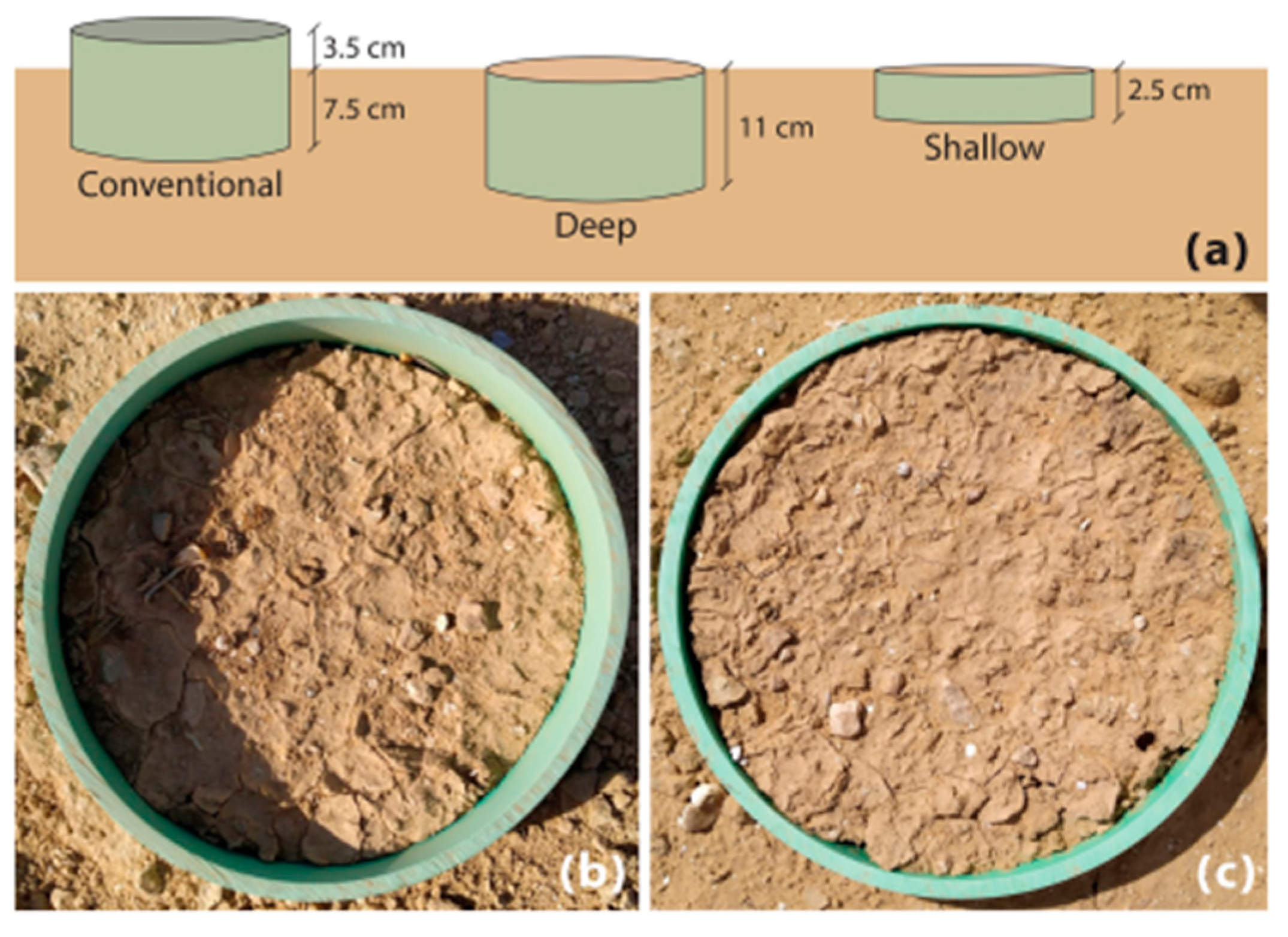 Agronomy 14 02374 g016 Agronomy 14 02374 g016