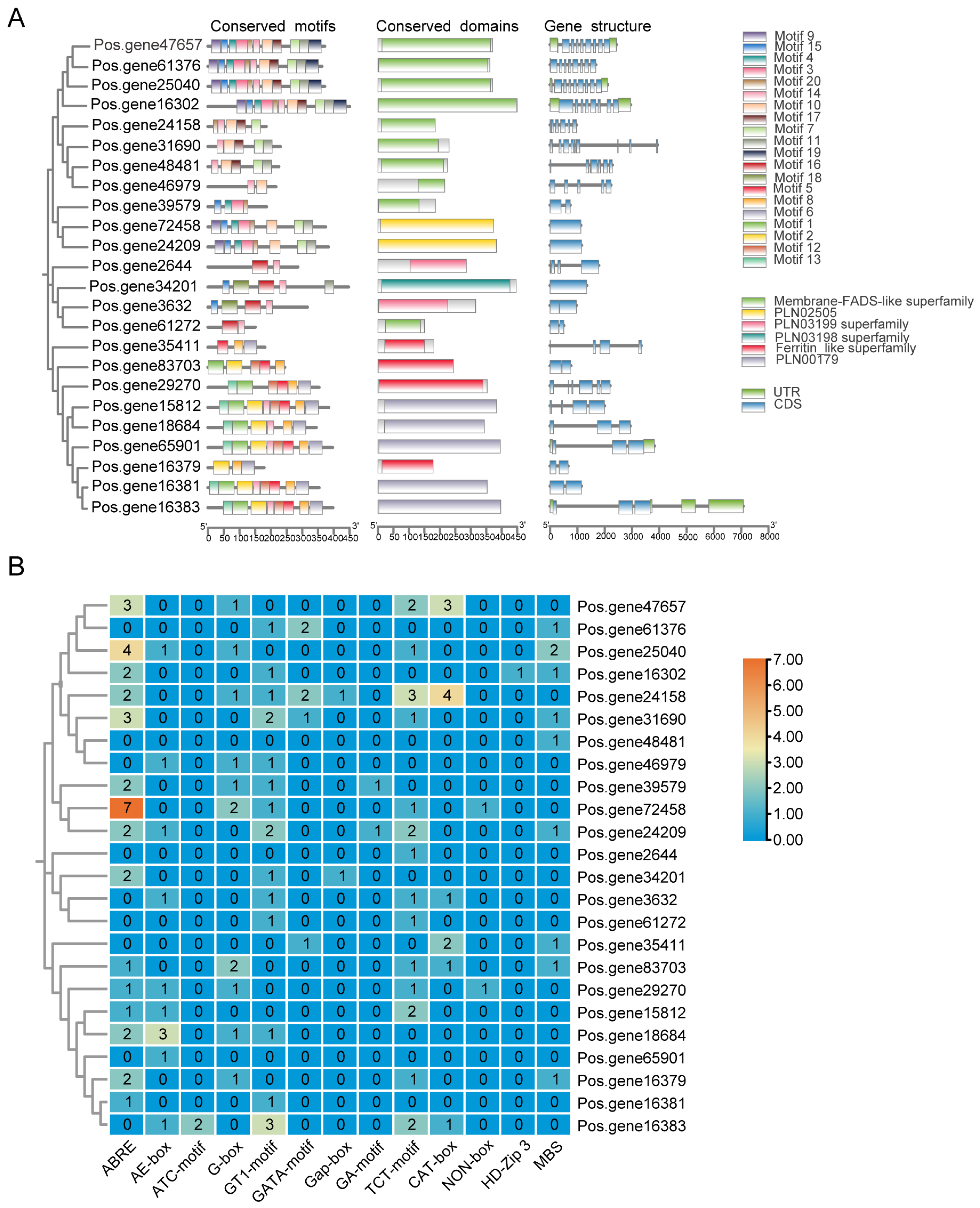 Agronomy 14 02378 g004