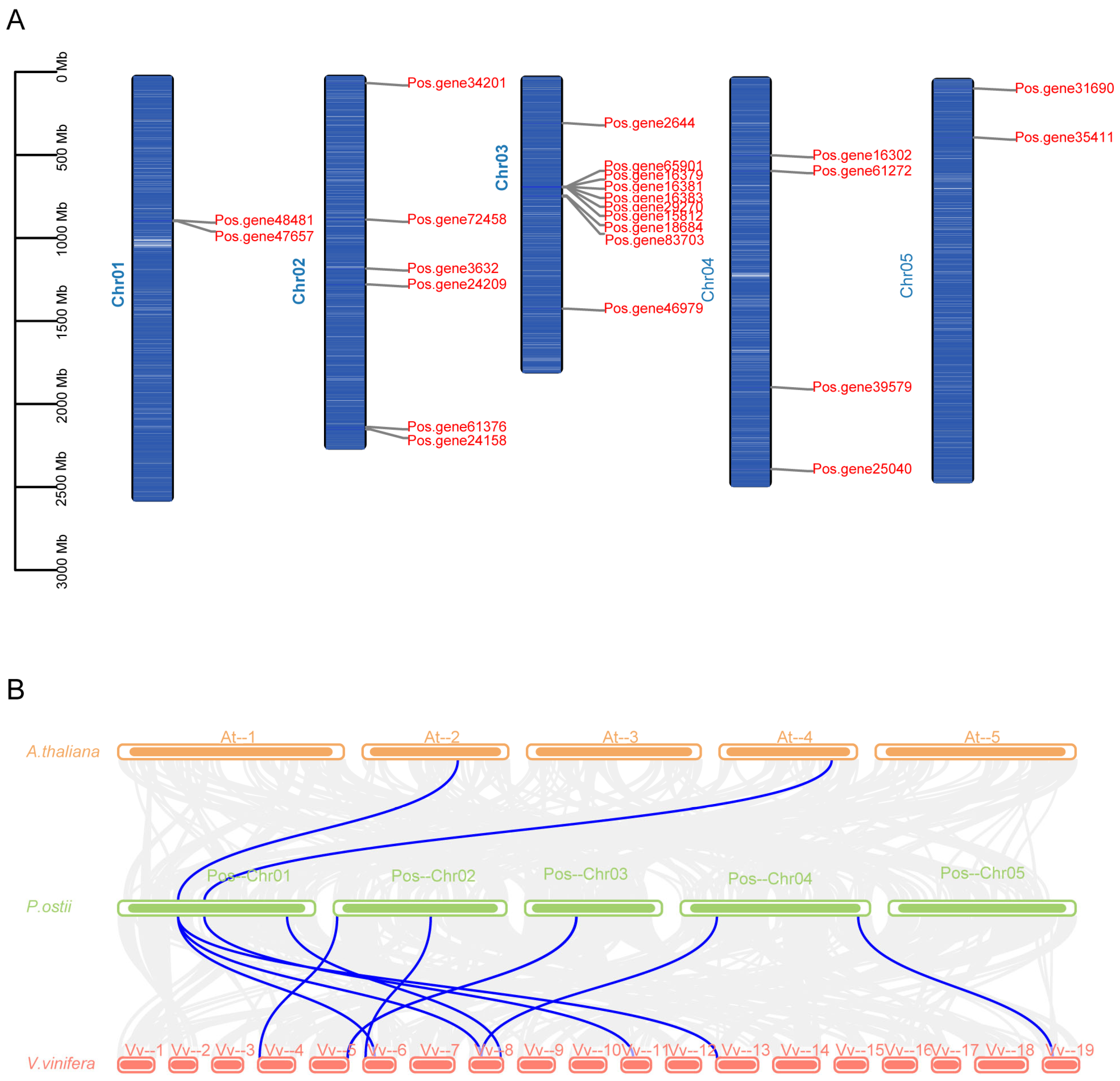 Agronomy 14 02378 g005