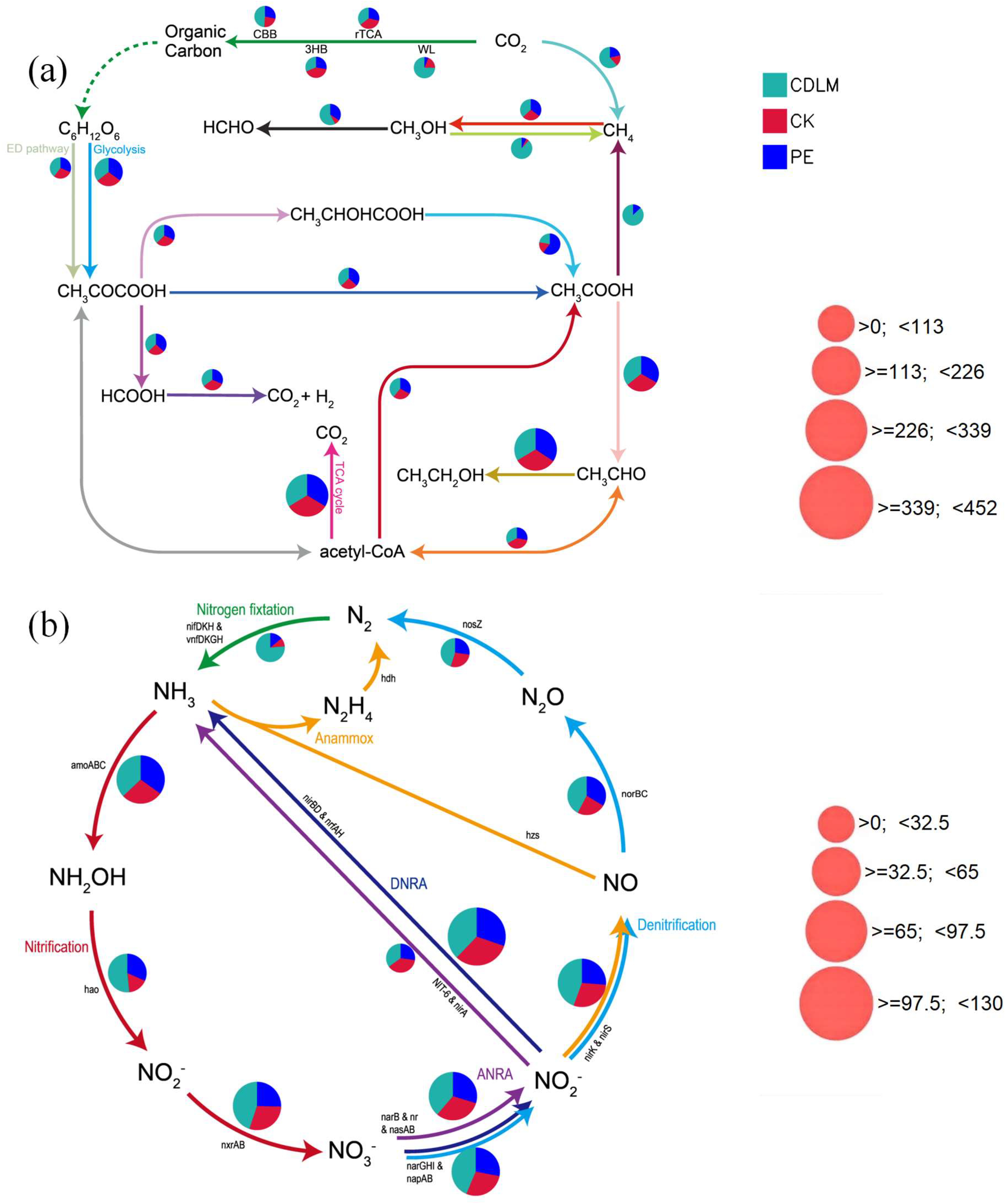 Agronomy 14 02379 g005