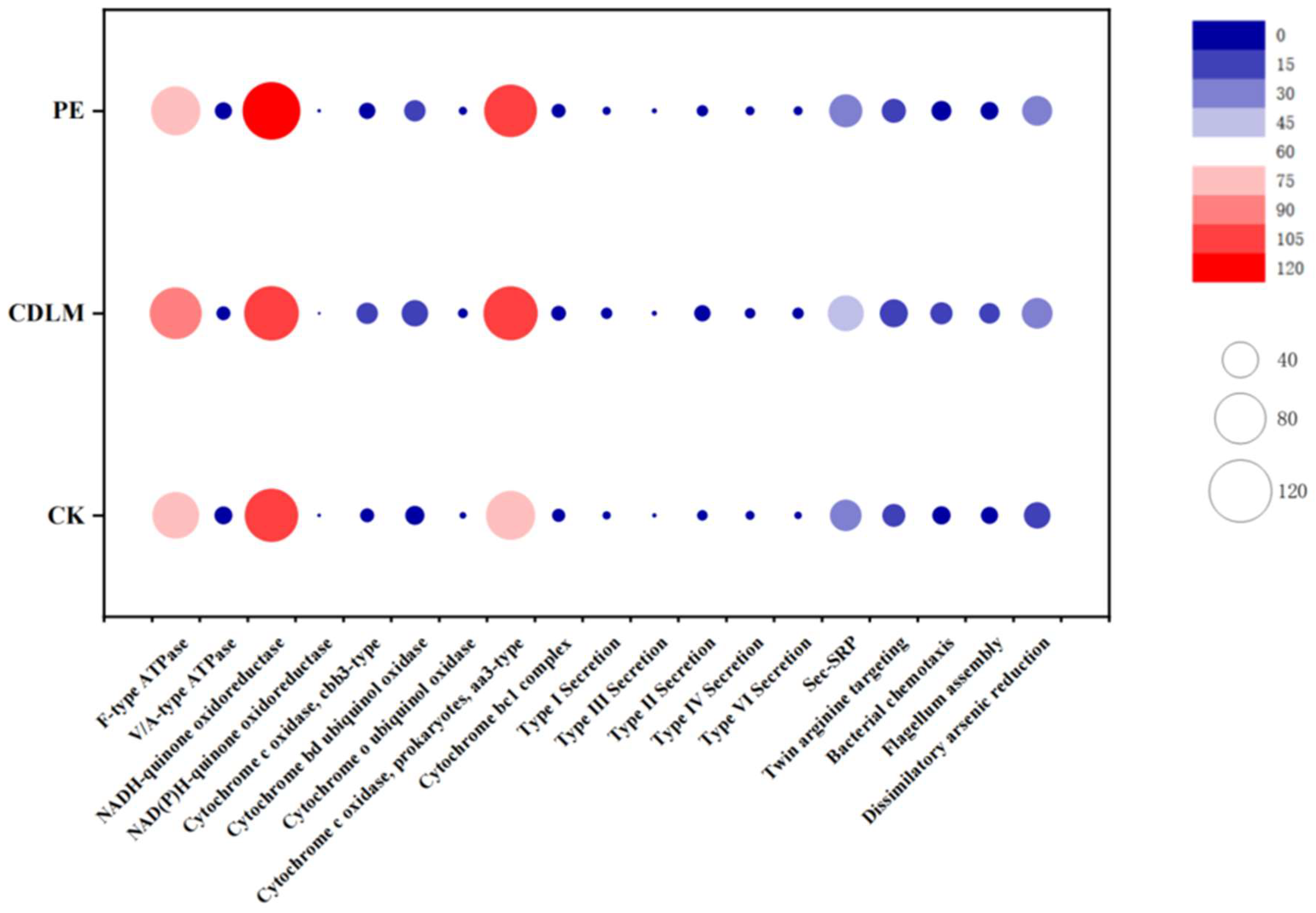 Agronomy 14 02379 g006
