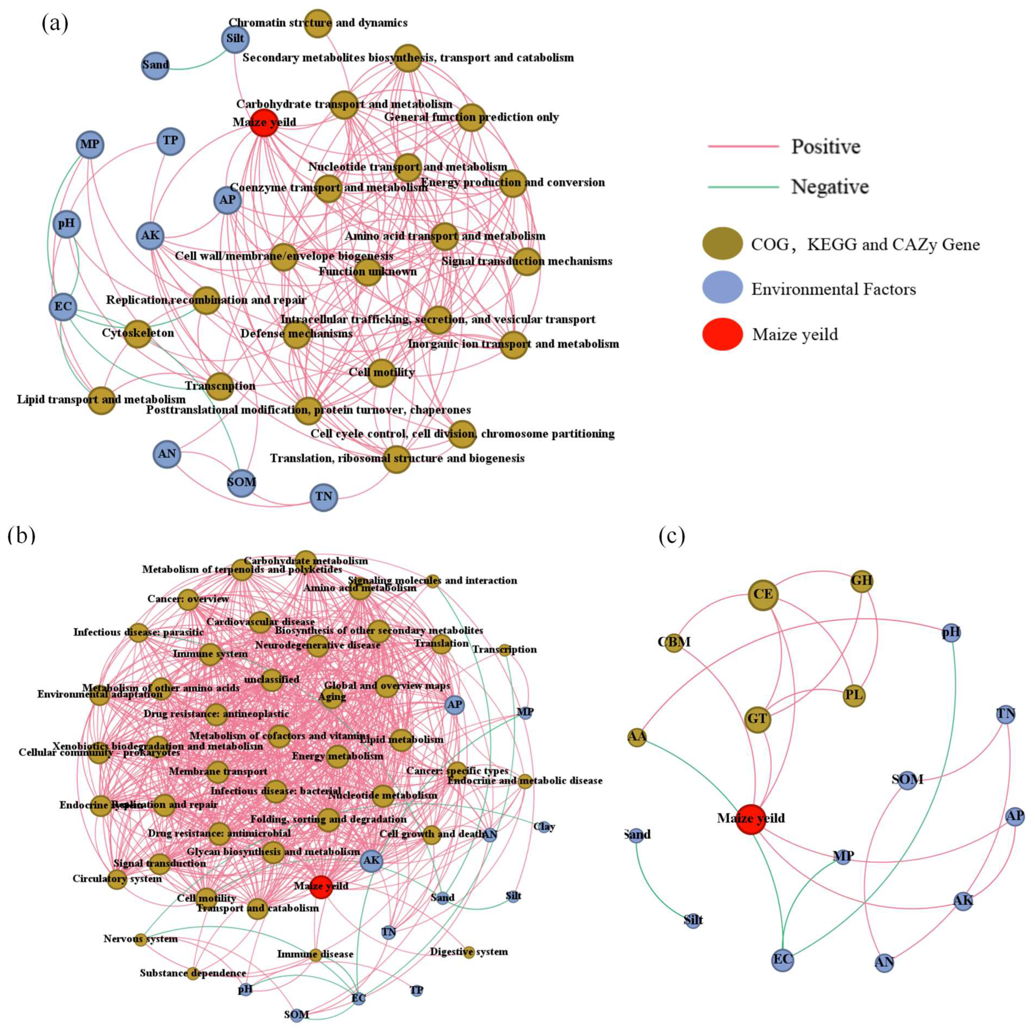 Agronomy 14 02379 g007