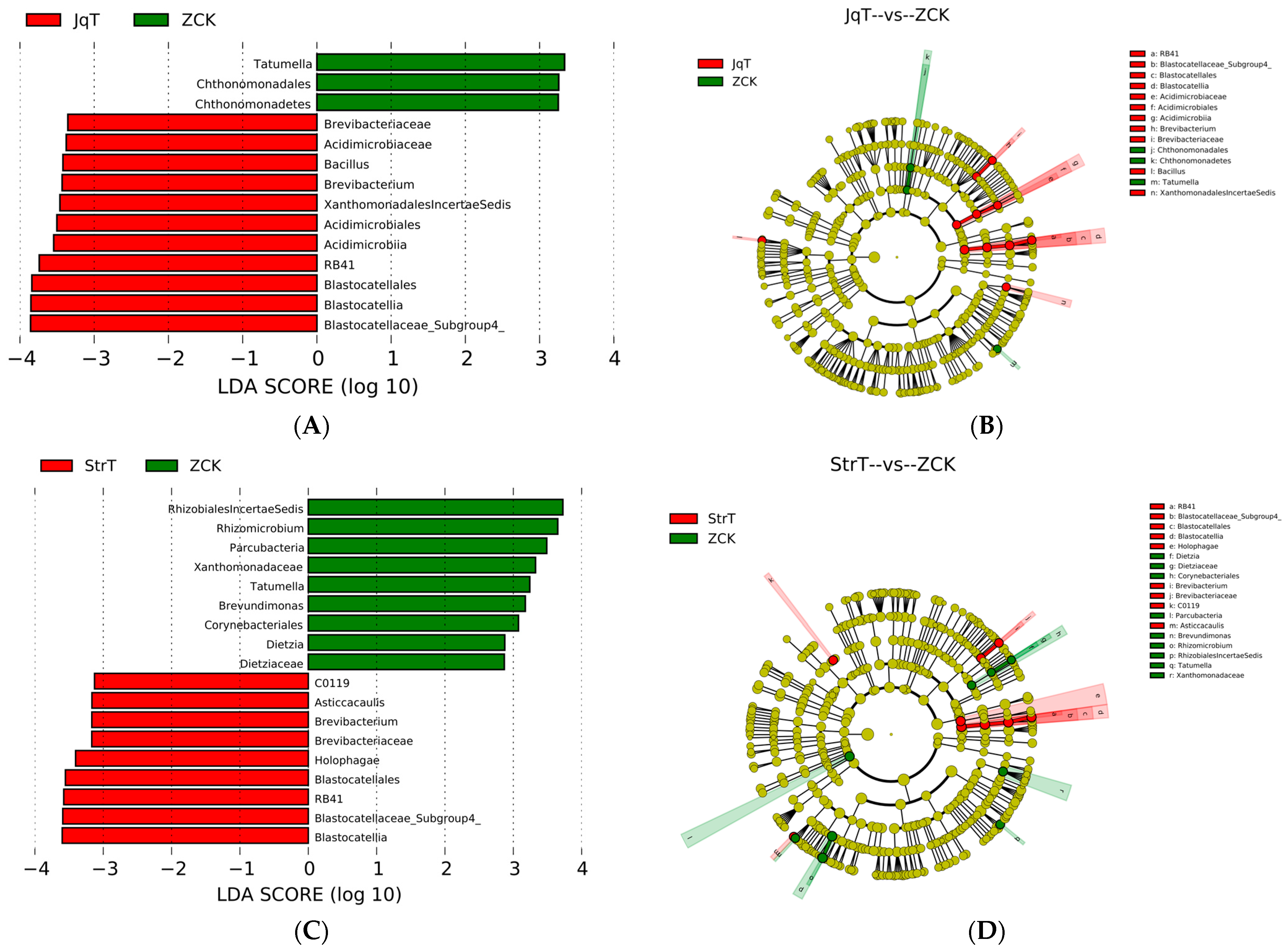 Agronomy 14 02381 g008a