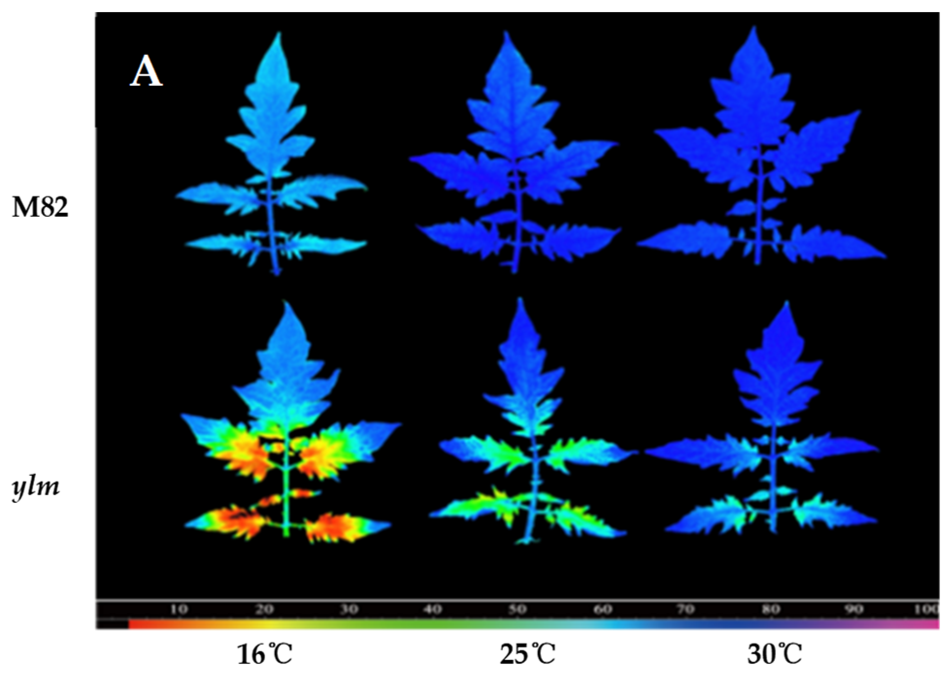Agronomy 14 02382 g003a Agronomy 14 02382 g003a