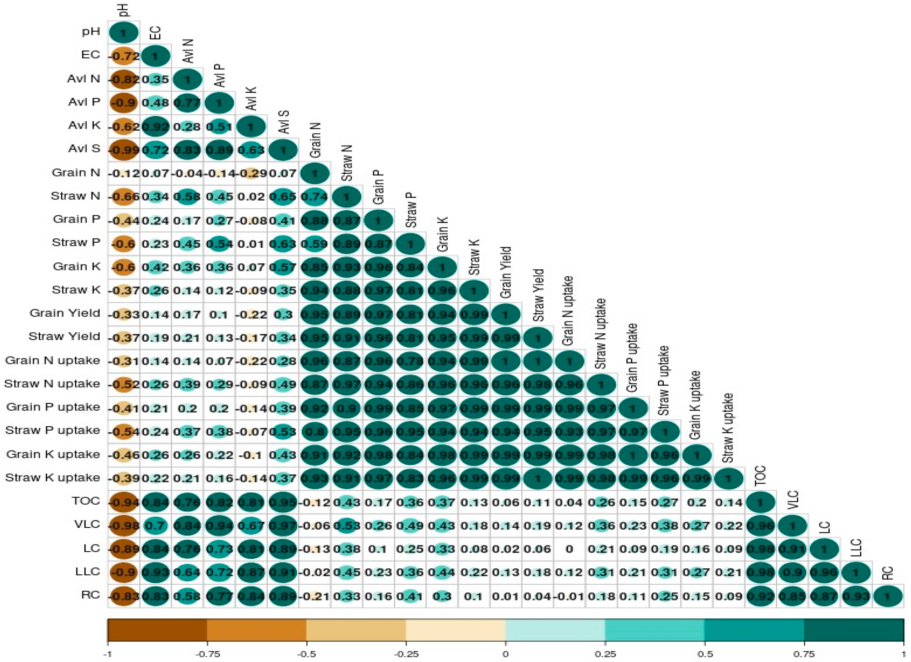 Agronomy 14 02383 g004