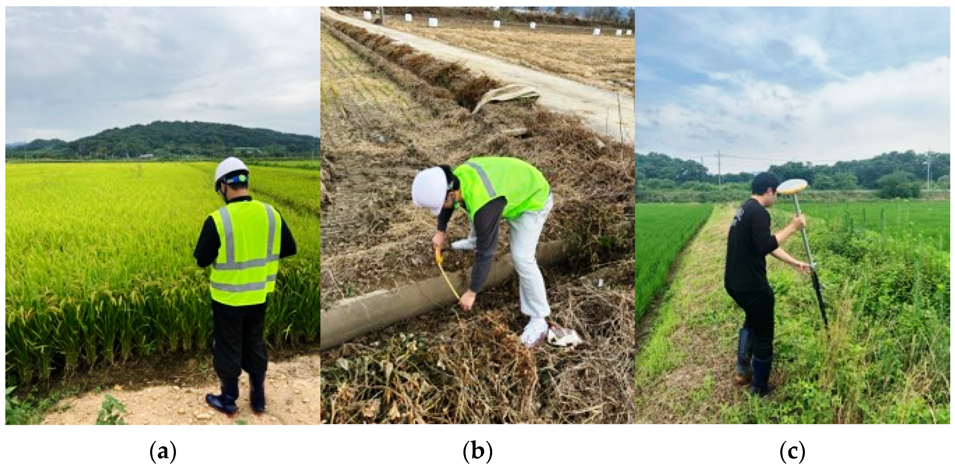 Agronomy 14 02384 g003