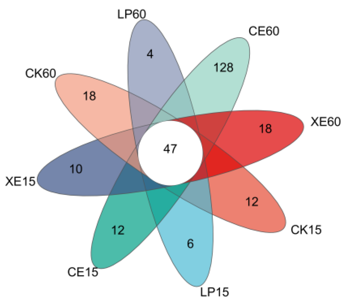 Agronomy 14 02386 g001