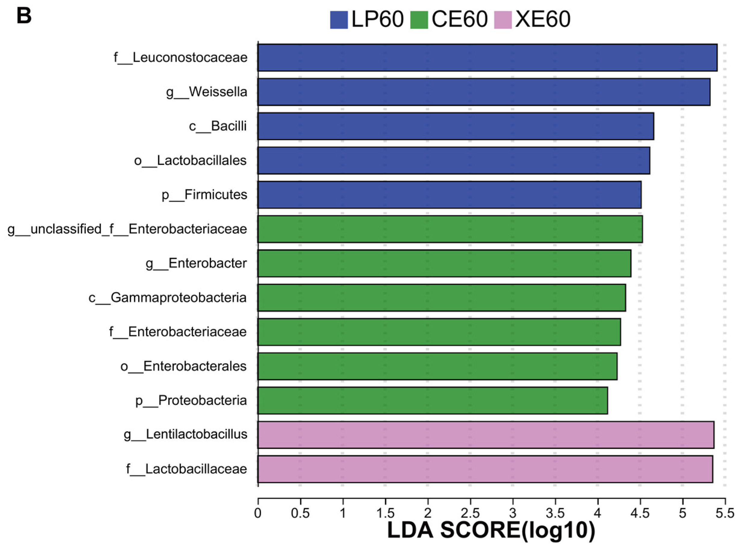 Agronomy 14 02386 g004b