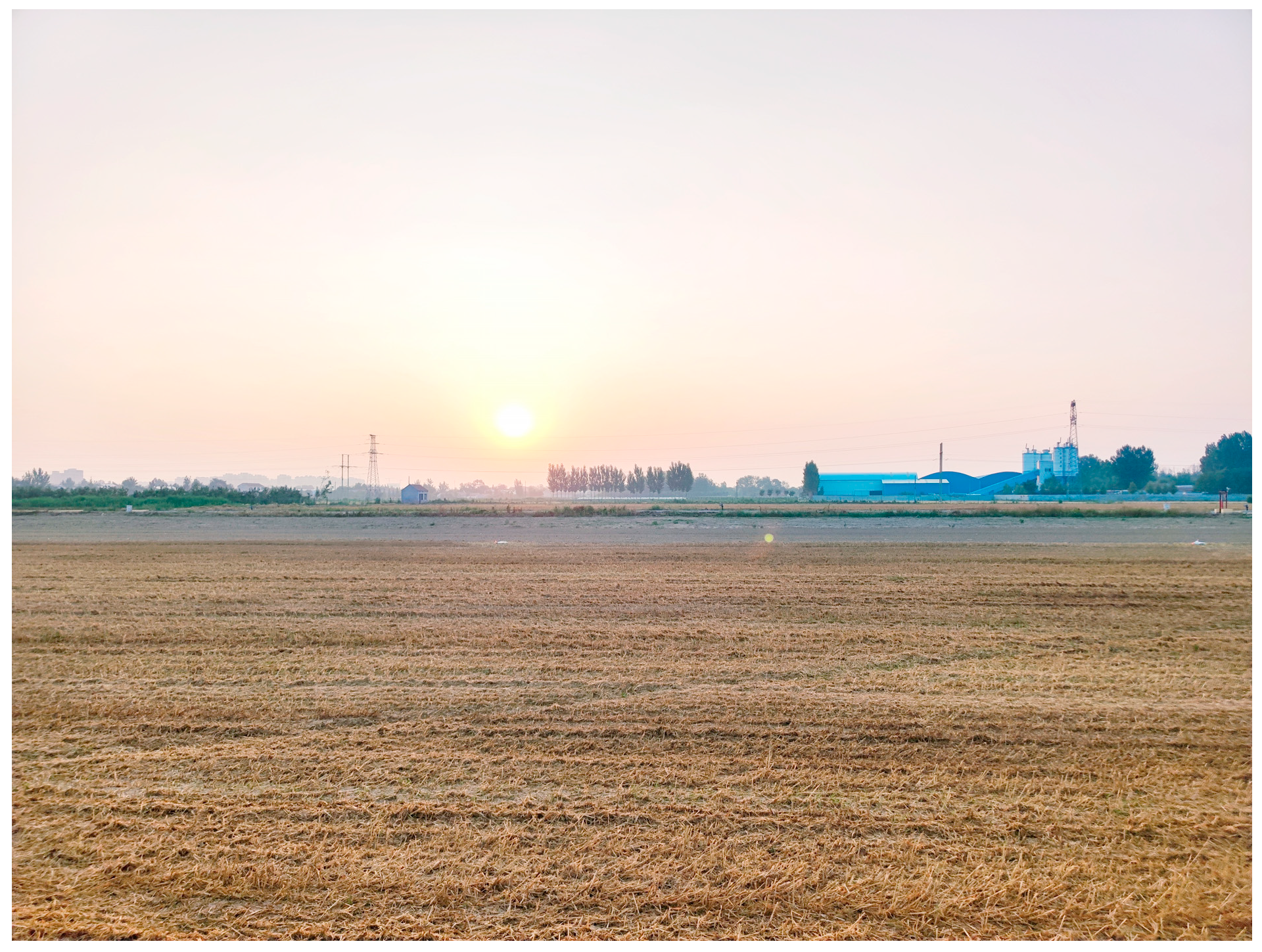 Agronomy 14 02388 g005