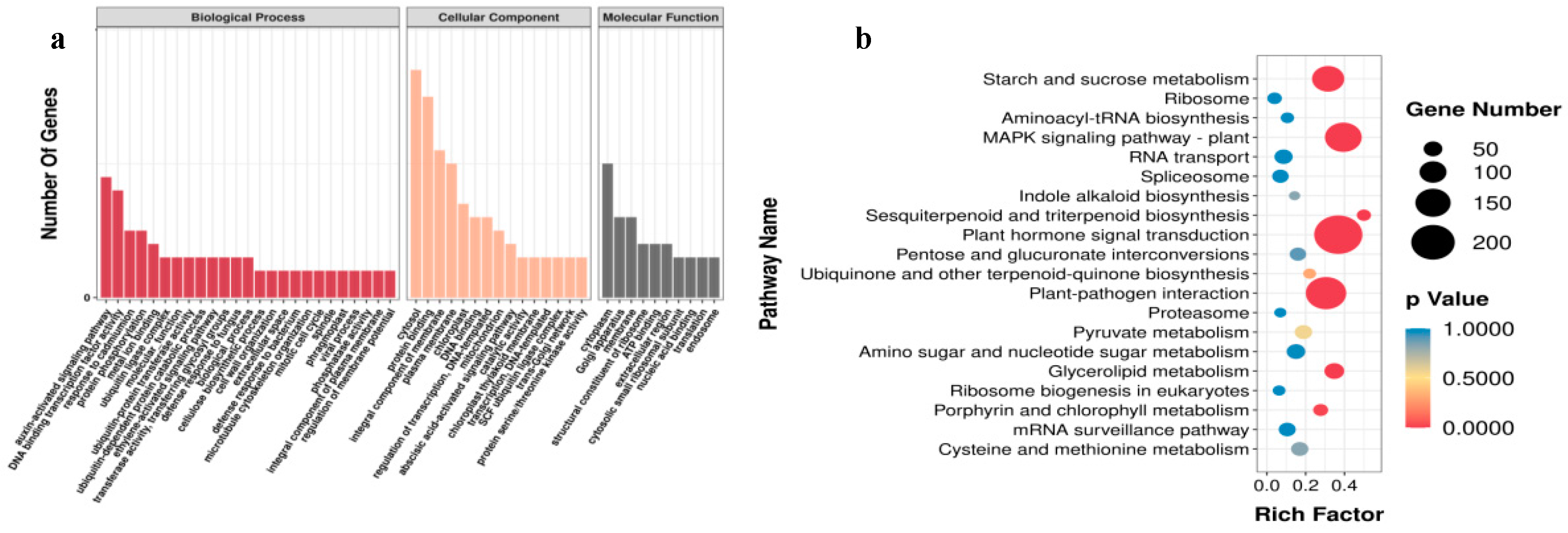 Agronomy 14 02391 g006