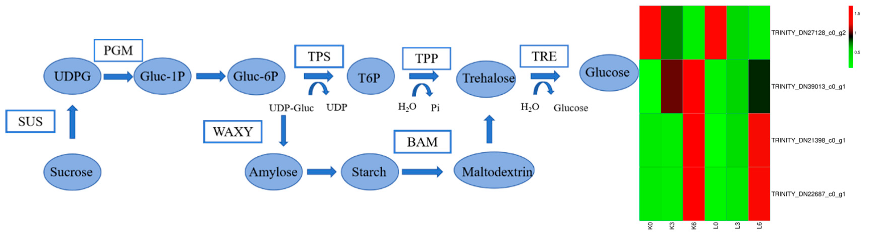 Agronomy 14 02391 g009