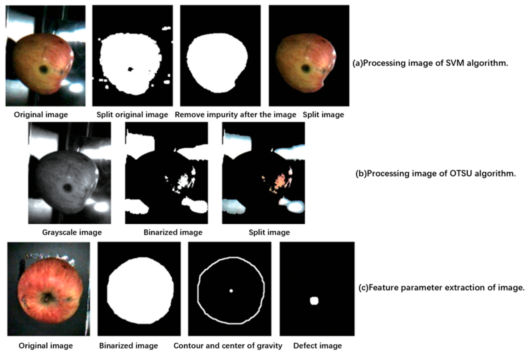 Agronomy 14 02395 g004