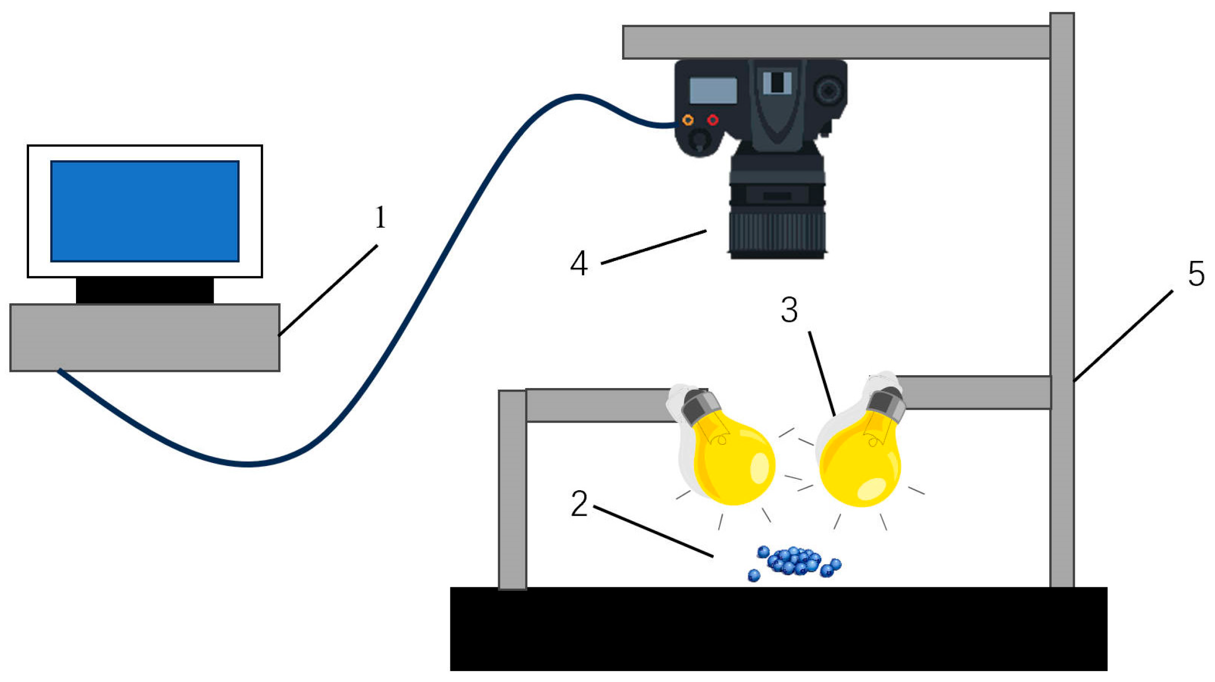 Agronomy 14 02395 g006