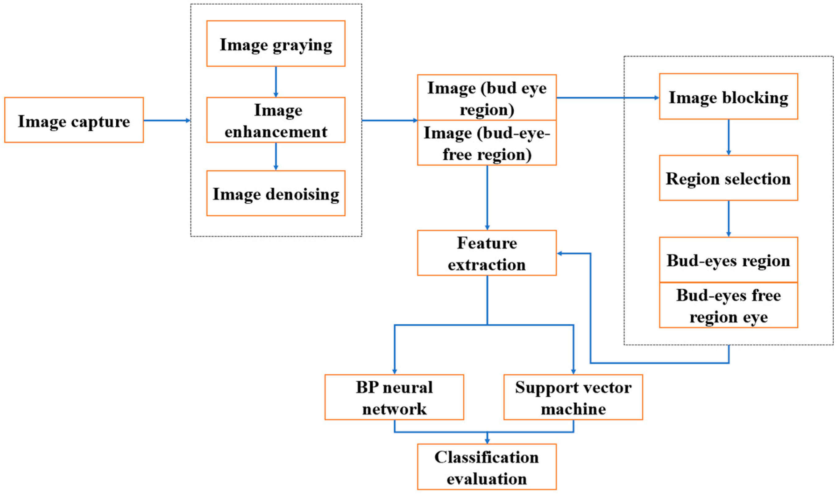 Agronomy 14 02395 g007
