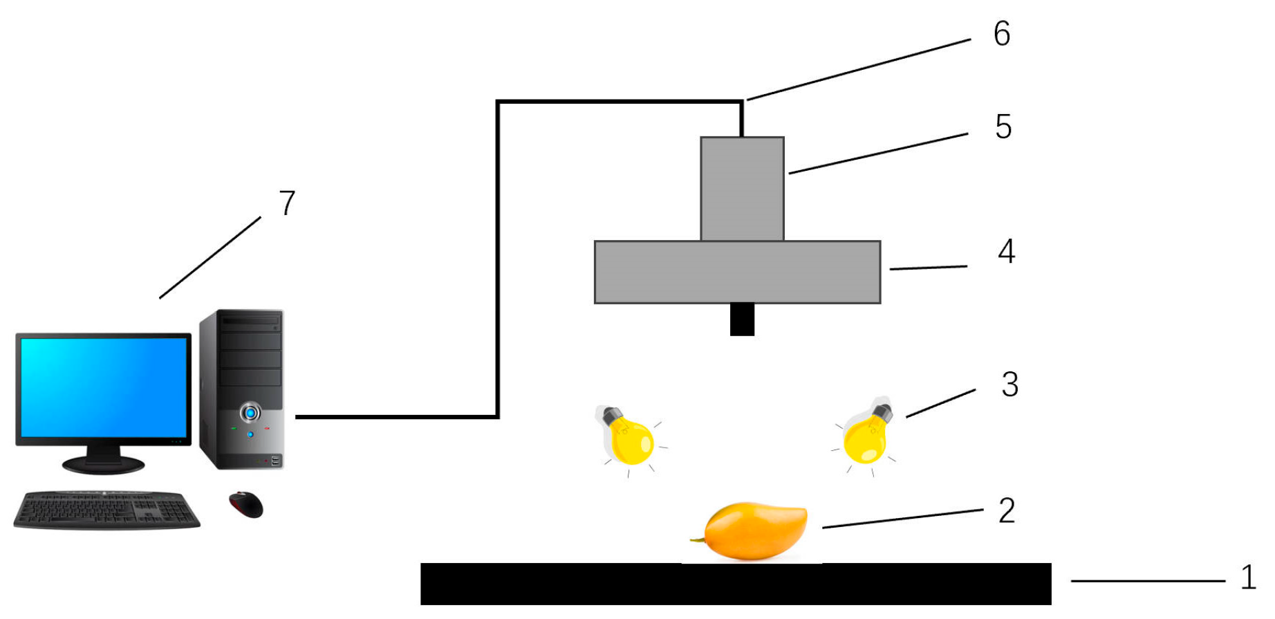 Agronomy 14 02395 g009