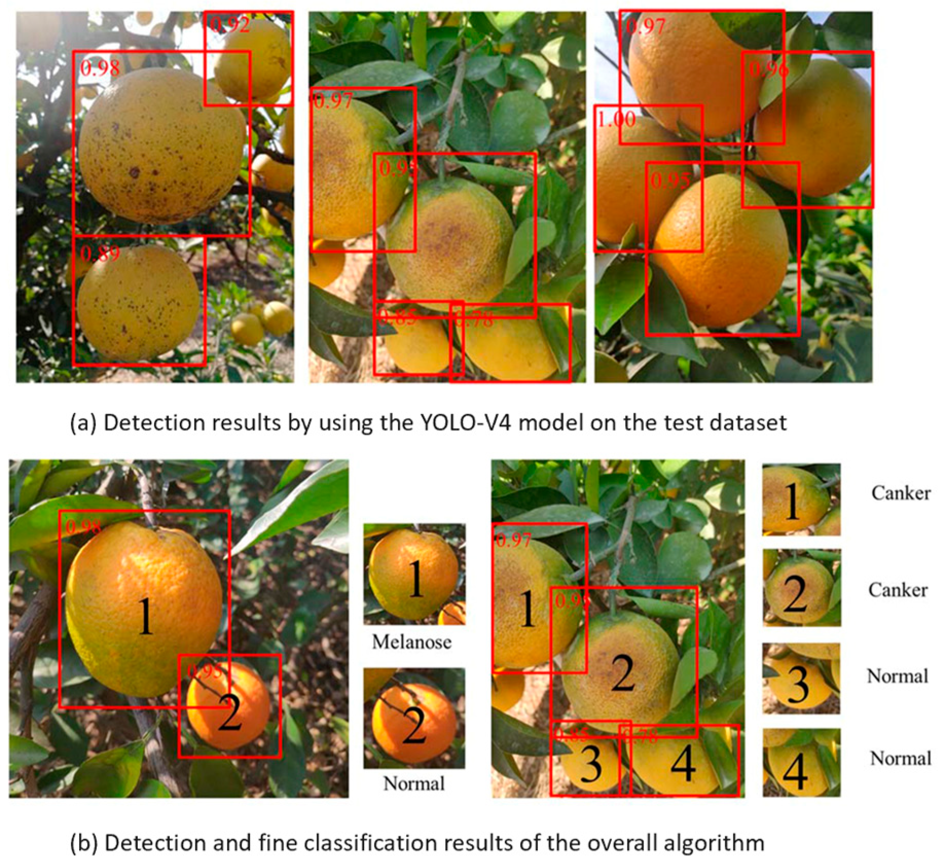 Agronomy 14 02395 g011