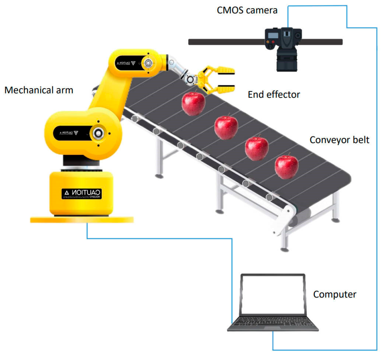 Agronomy 14 02395 g013