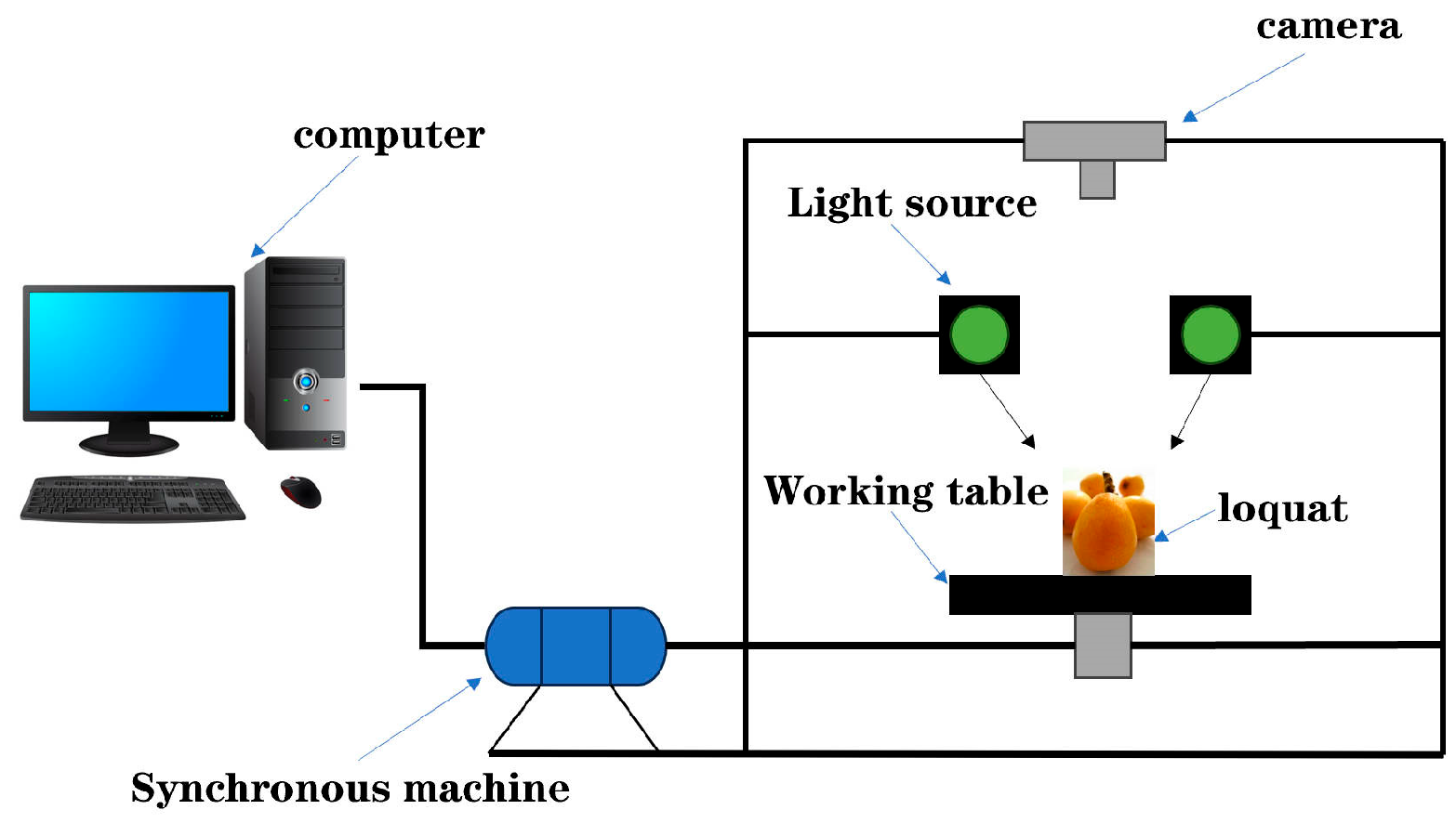 Agronomy 14 02395 g015