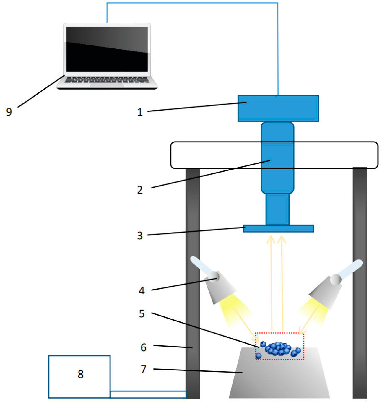 Agronomy 14 02395 g017