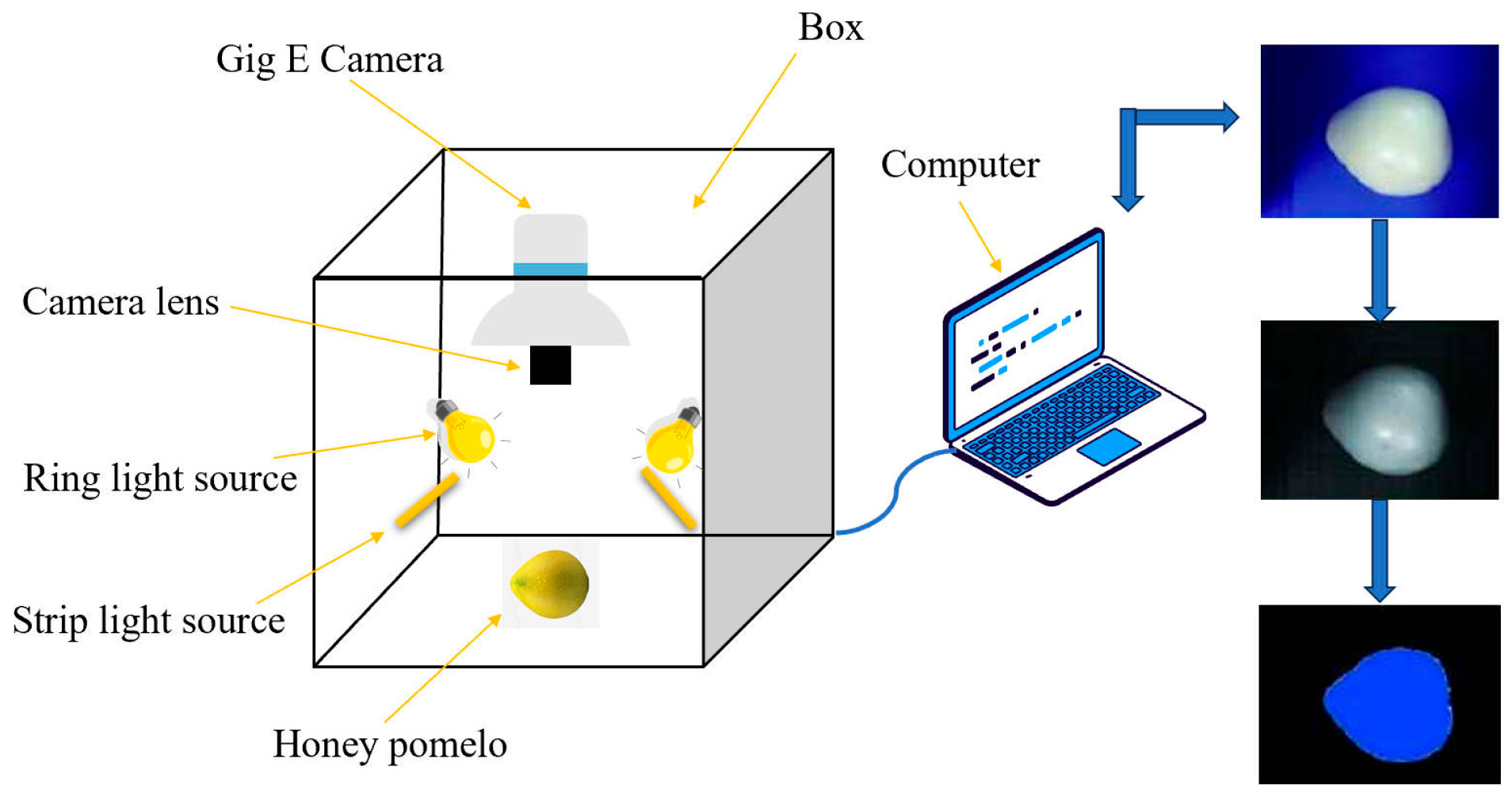 Agronomy 14 02395 g019