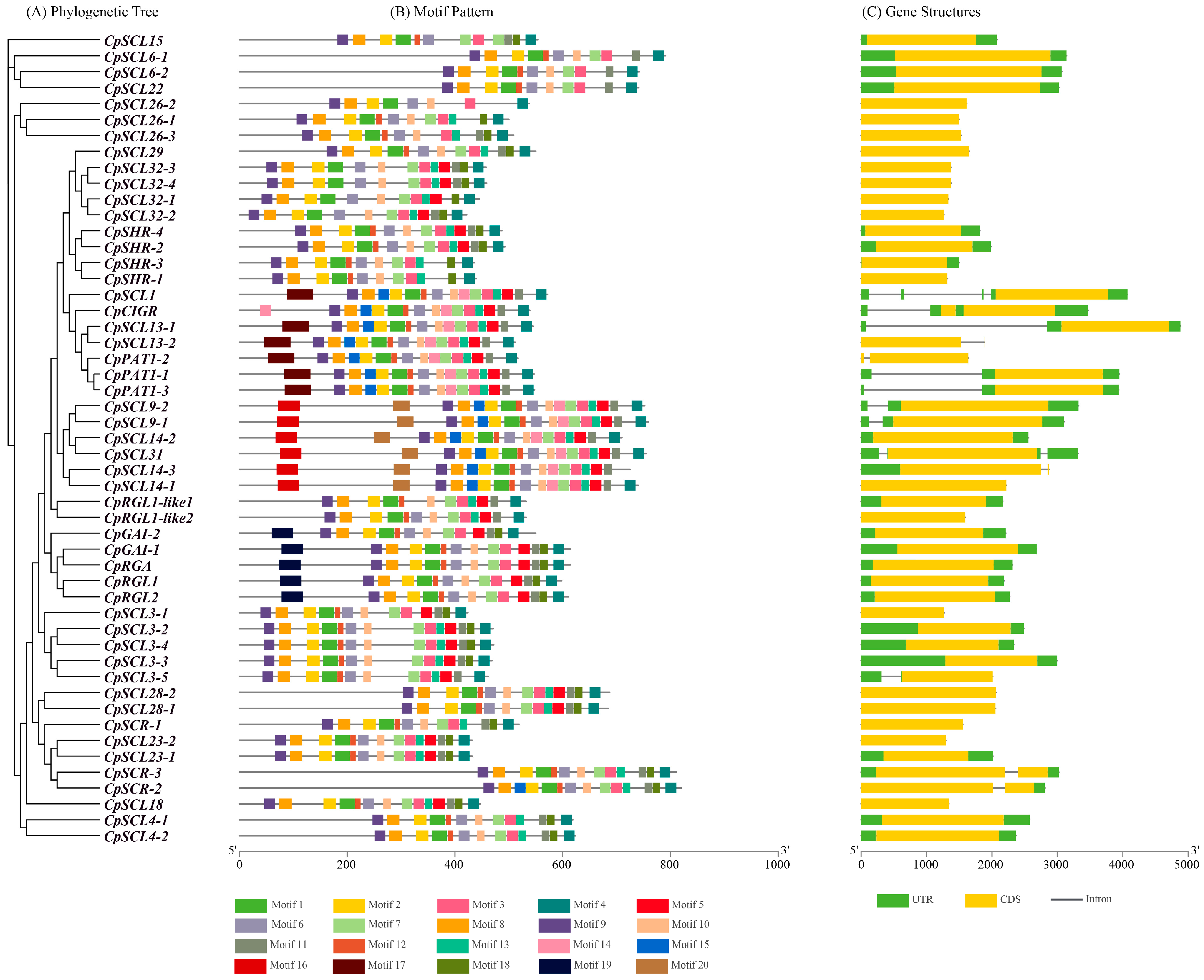 Agronomy 14 02397 g003