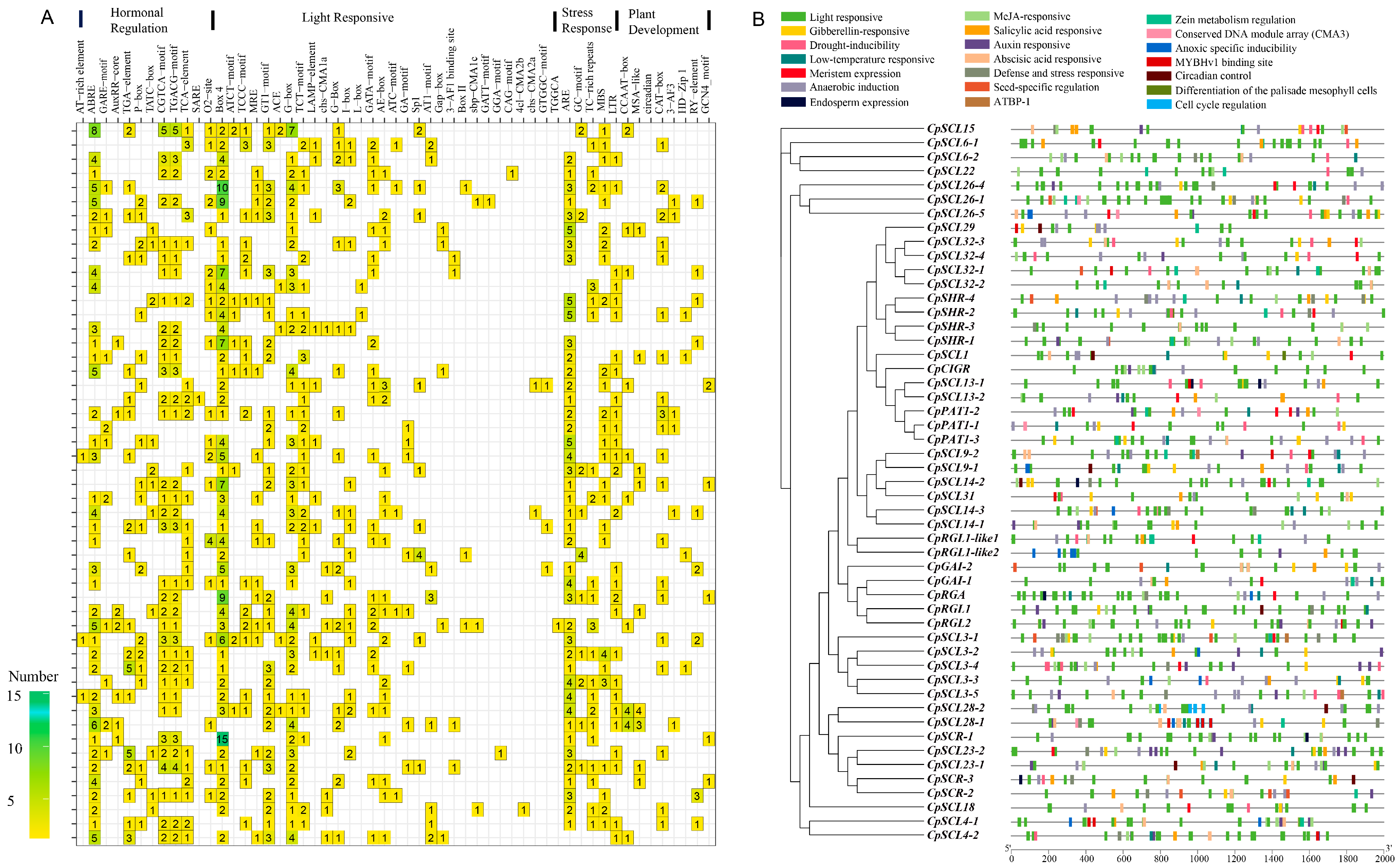 Agronomy 14 02397 g004