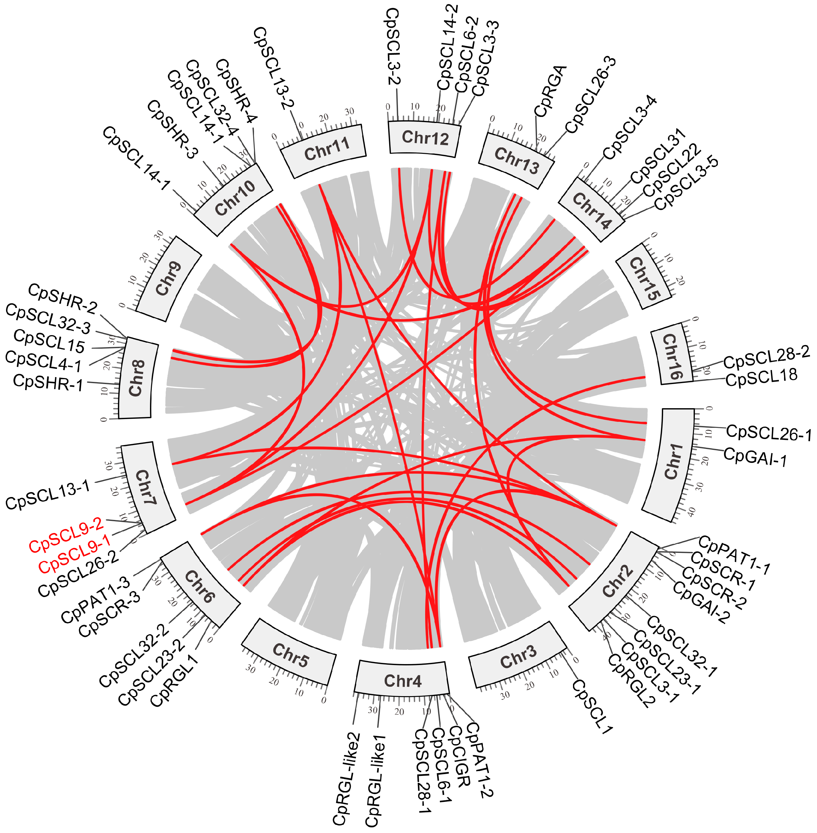 Agronomy 14 02397 g005