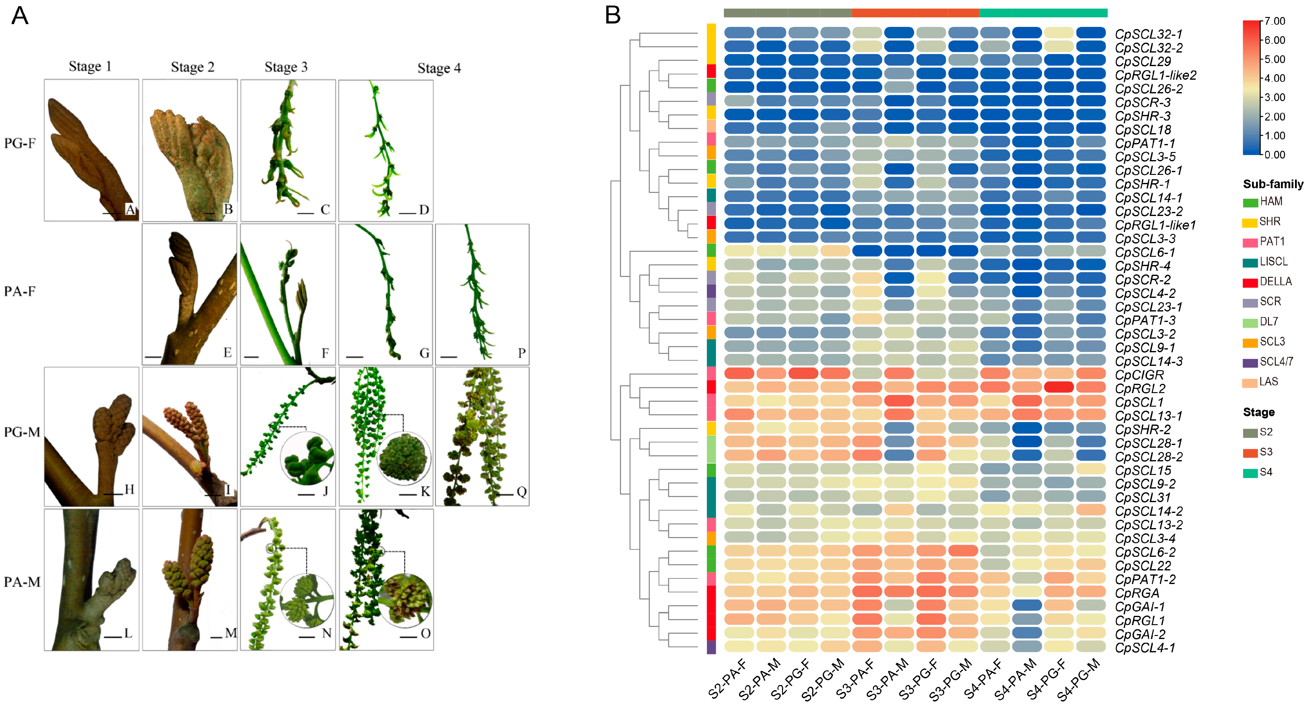 Agronomy 14 02397 g007