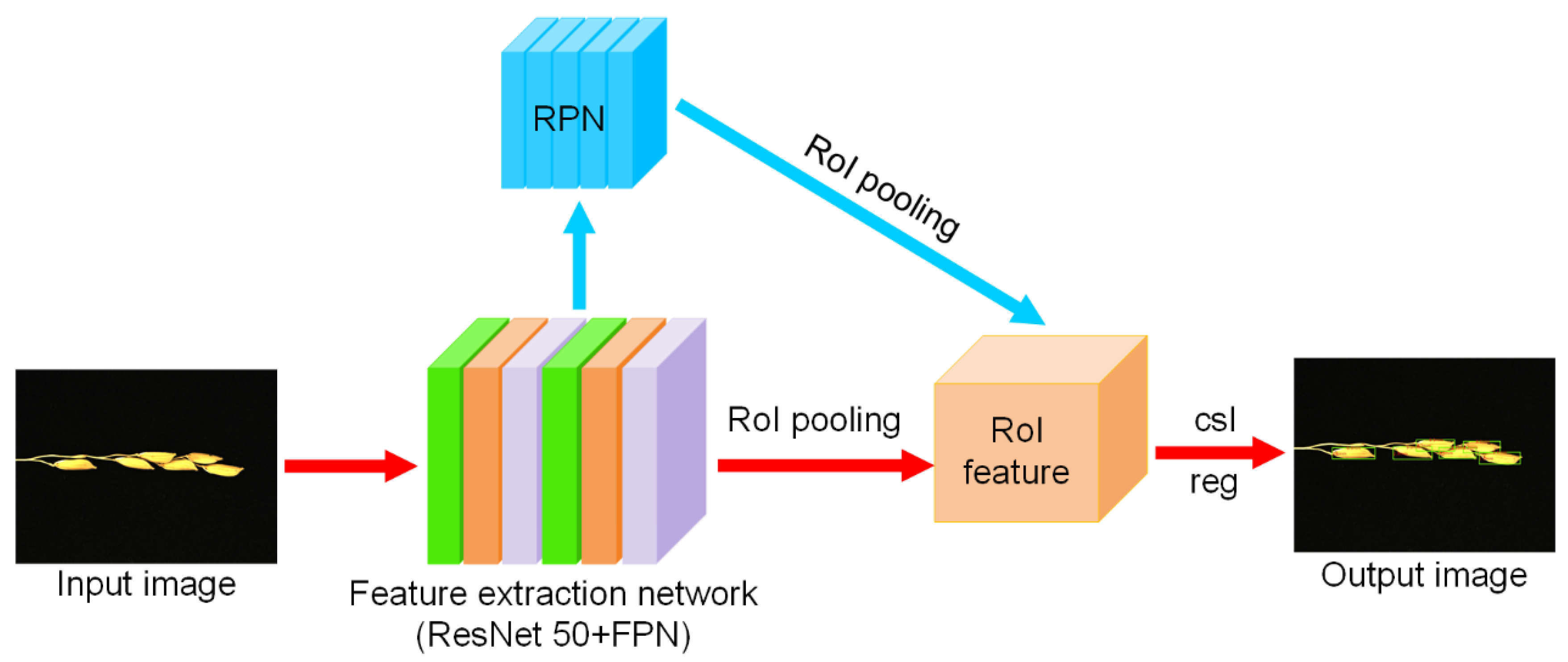 Agronomy 14 02398 g007
