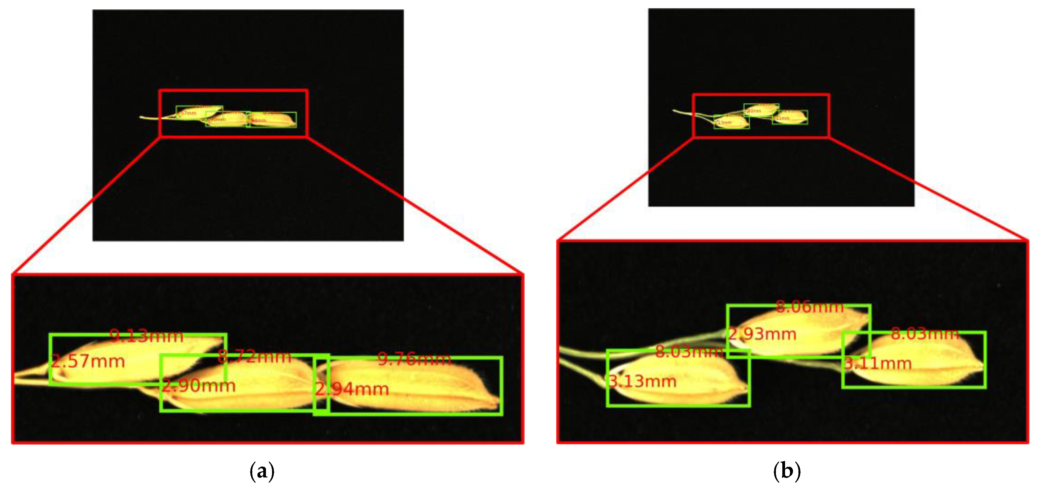 Agronomy 14 02398 g011