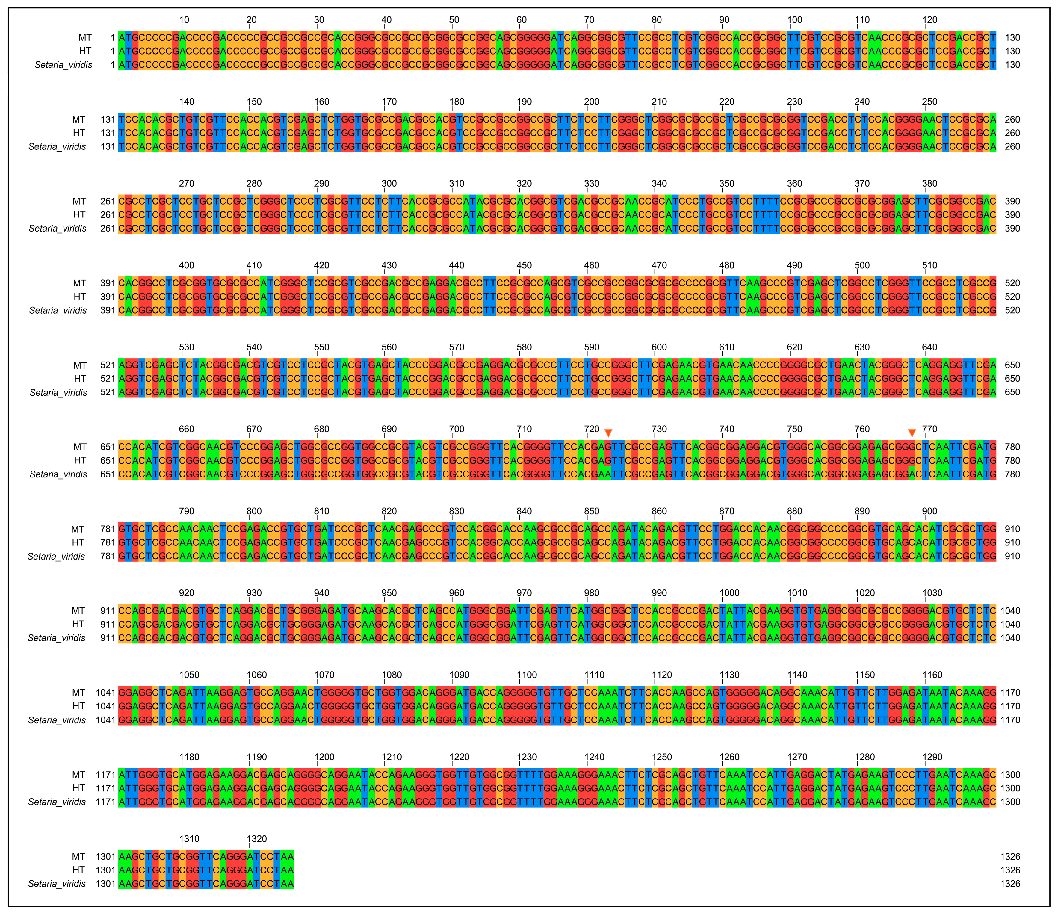 Agronomy 14 02399 g002