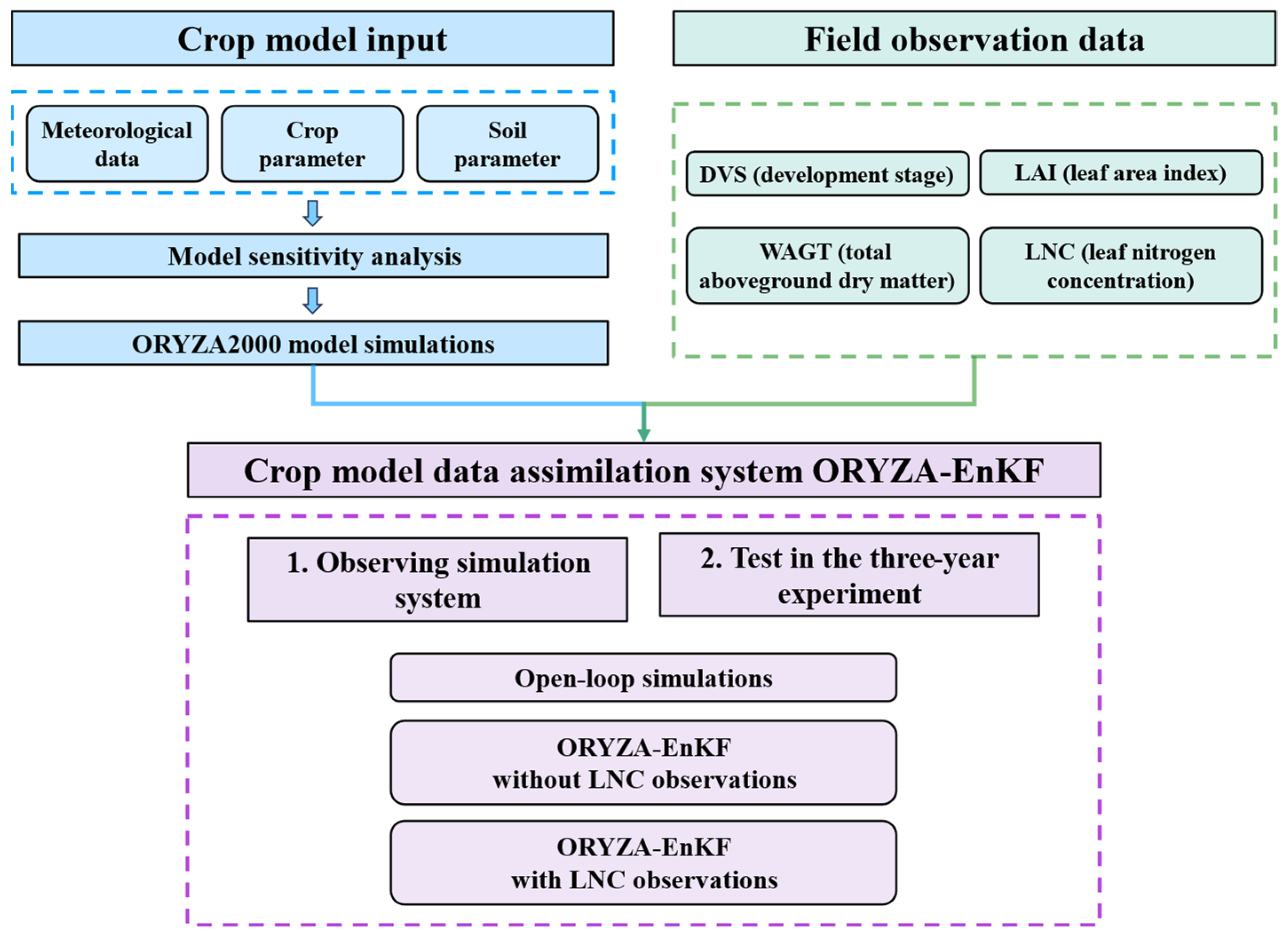 Agronomy 14 02402 g001
