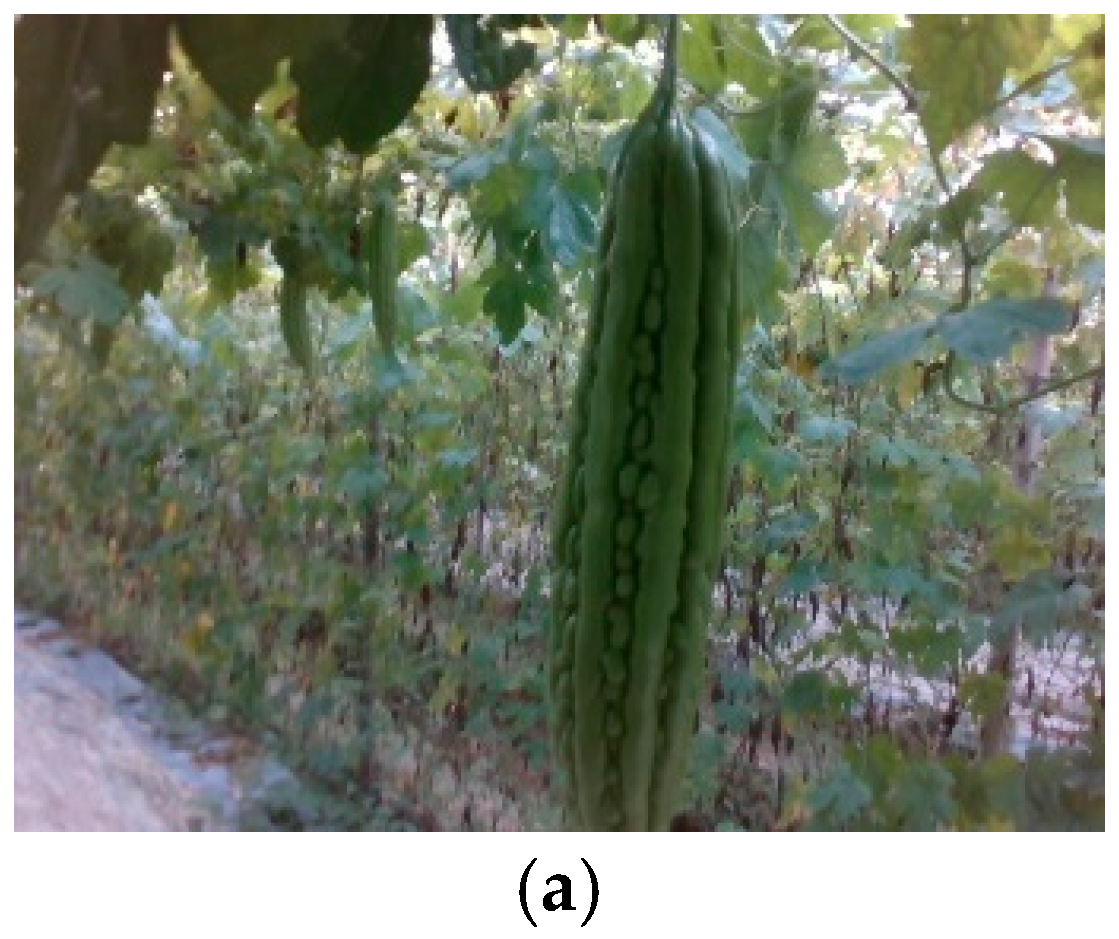 Agronomy 14 02403 g011a