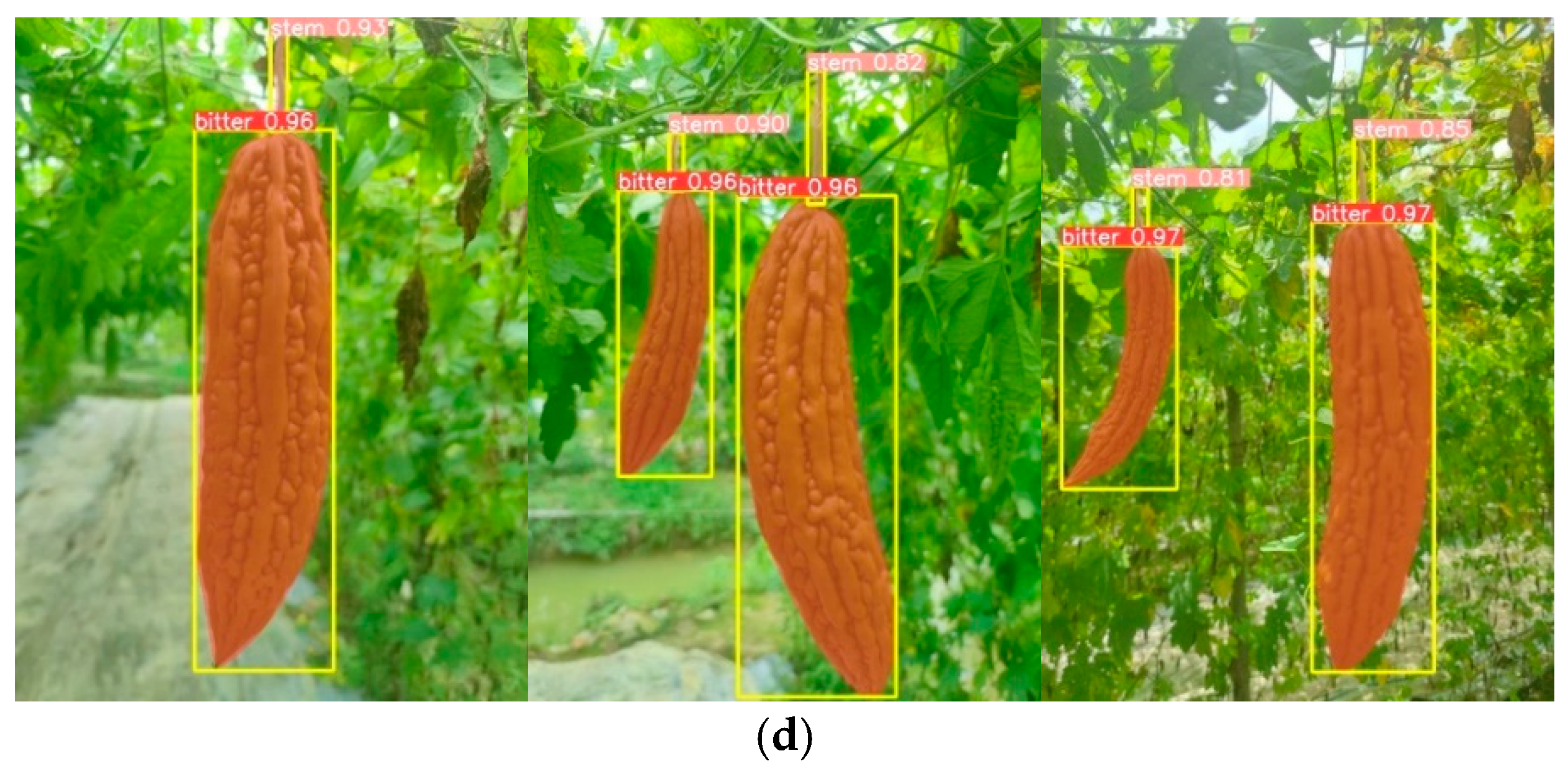 Agronomy 14 02403 g013b