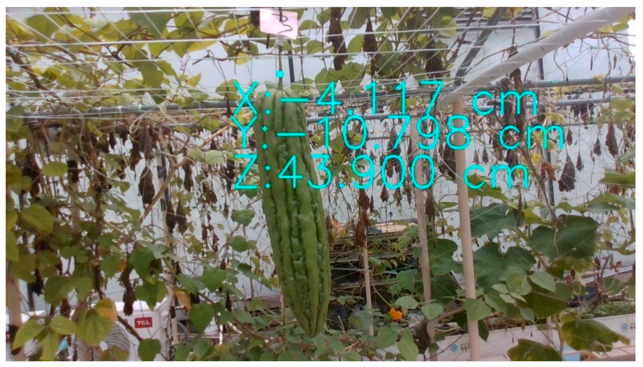 Agronomy 14 02403 g014