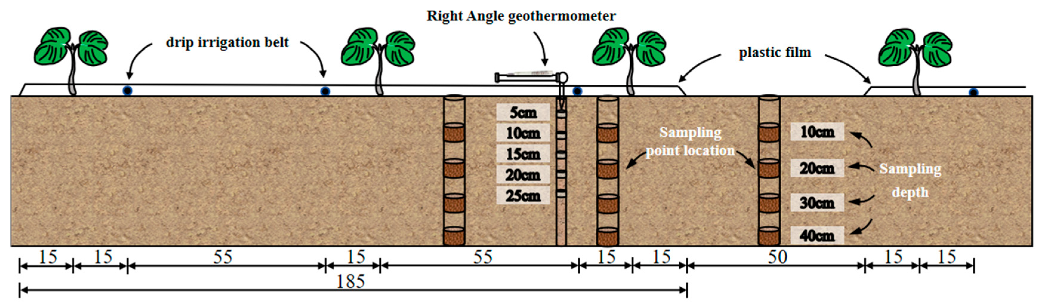 Agronomy 14 02406 g002