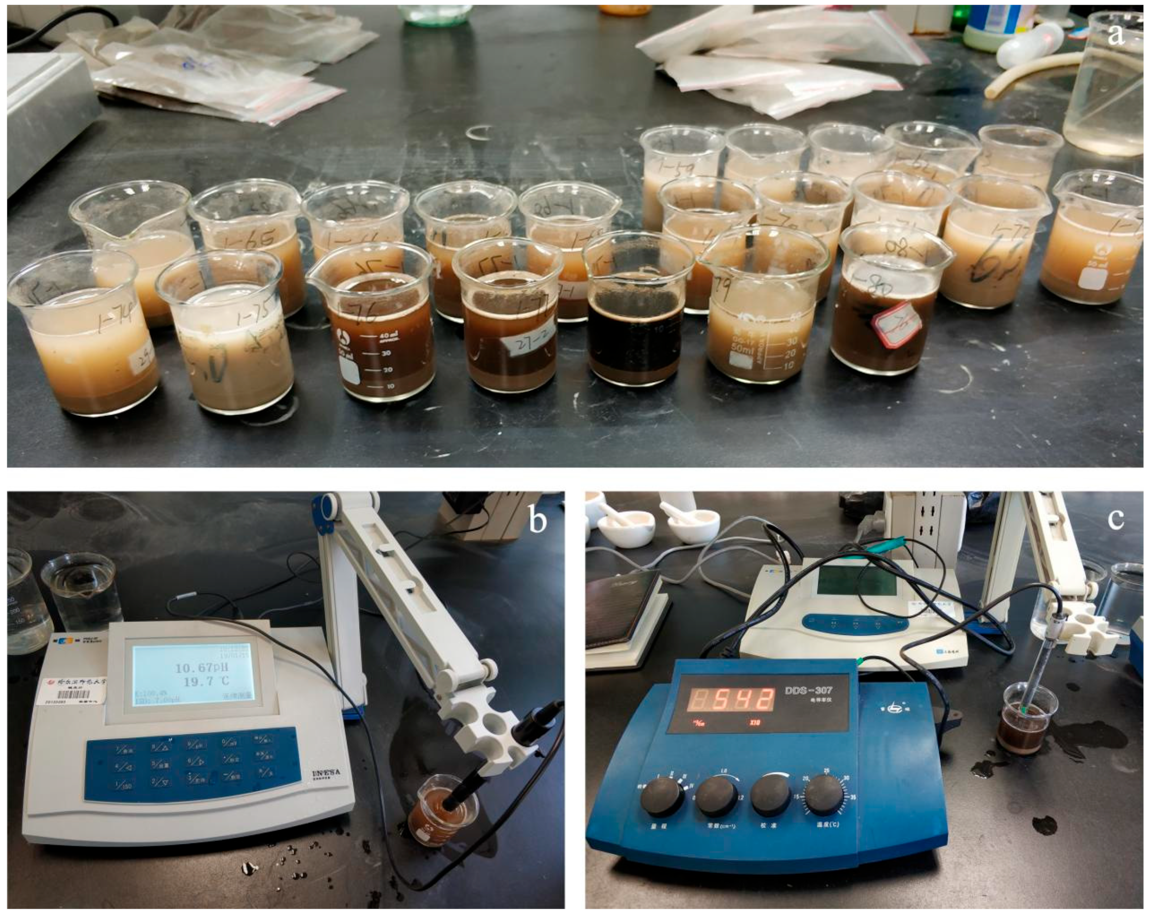 Agronomy 14 02407 g002