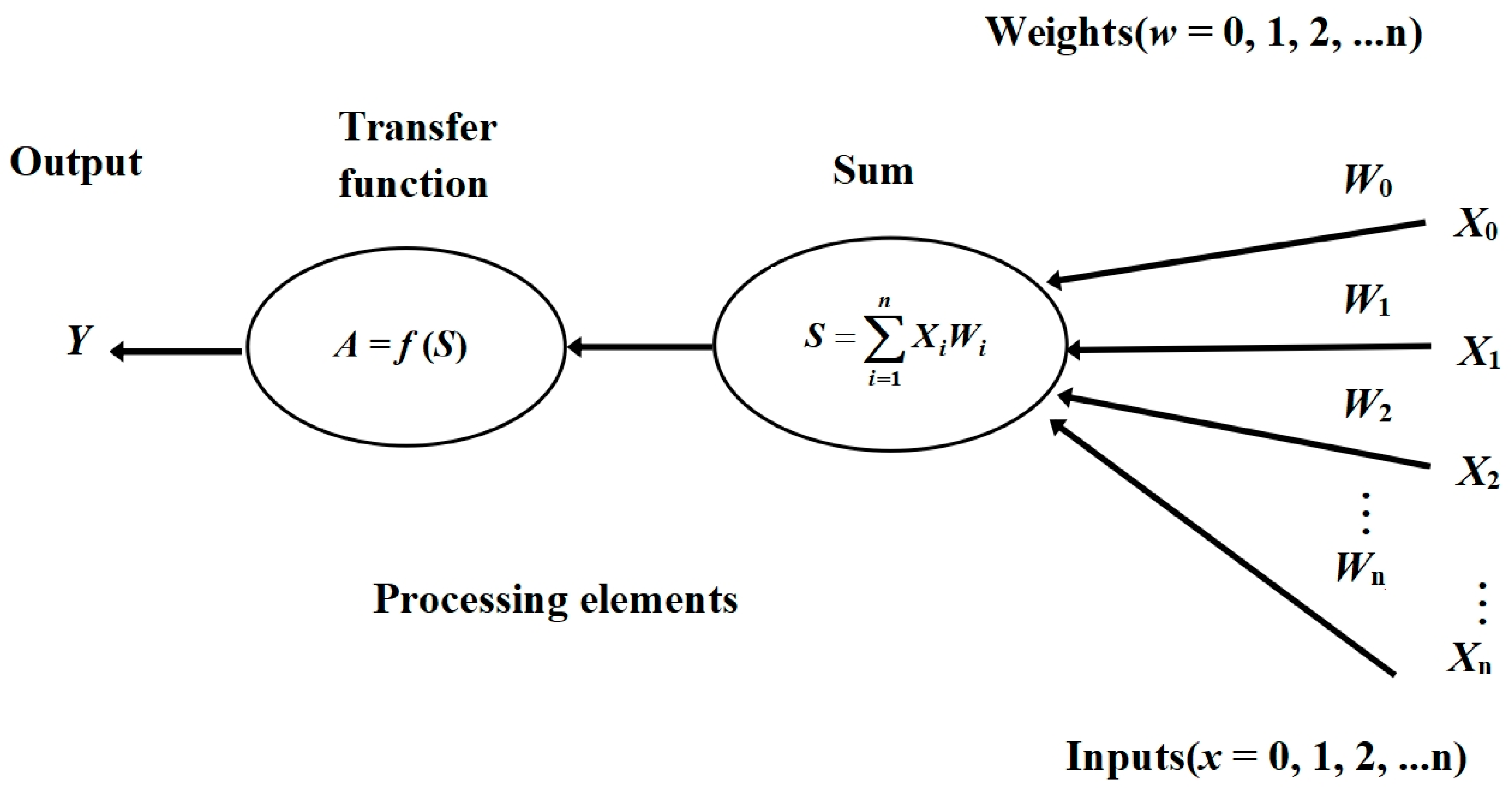 Agronomy 14 02407 g005