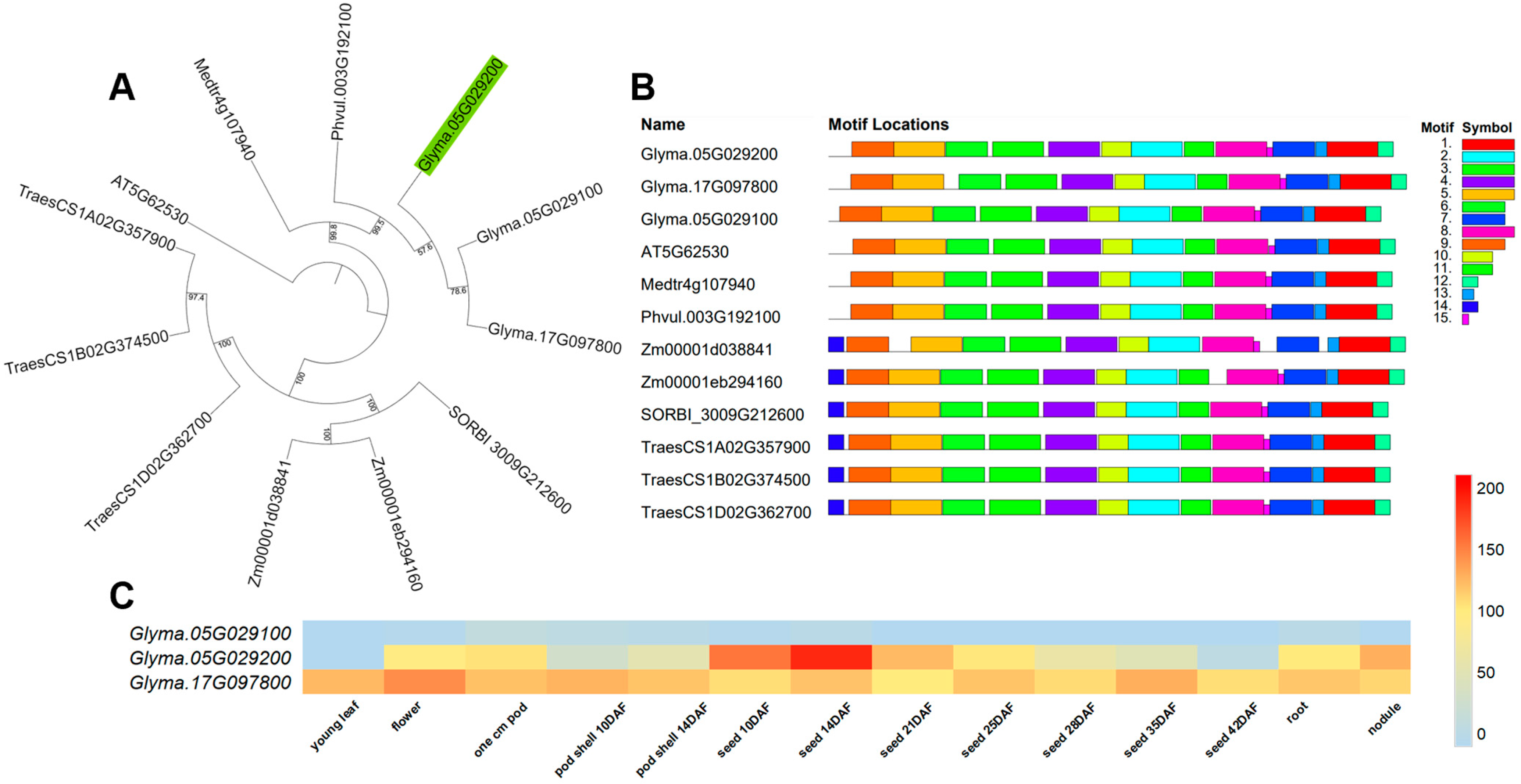 Agronomy 14 02411 g001